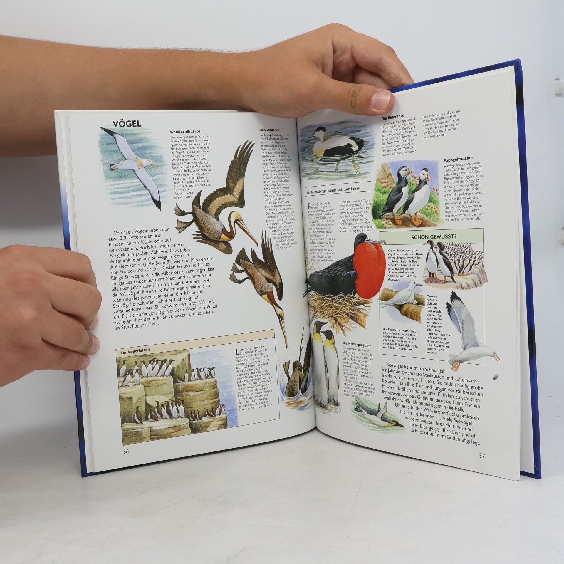 Susan Wells Tessloffs Atlas der Meere