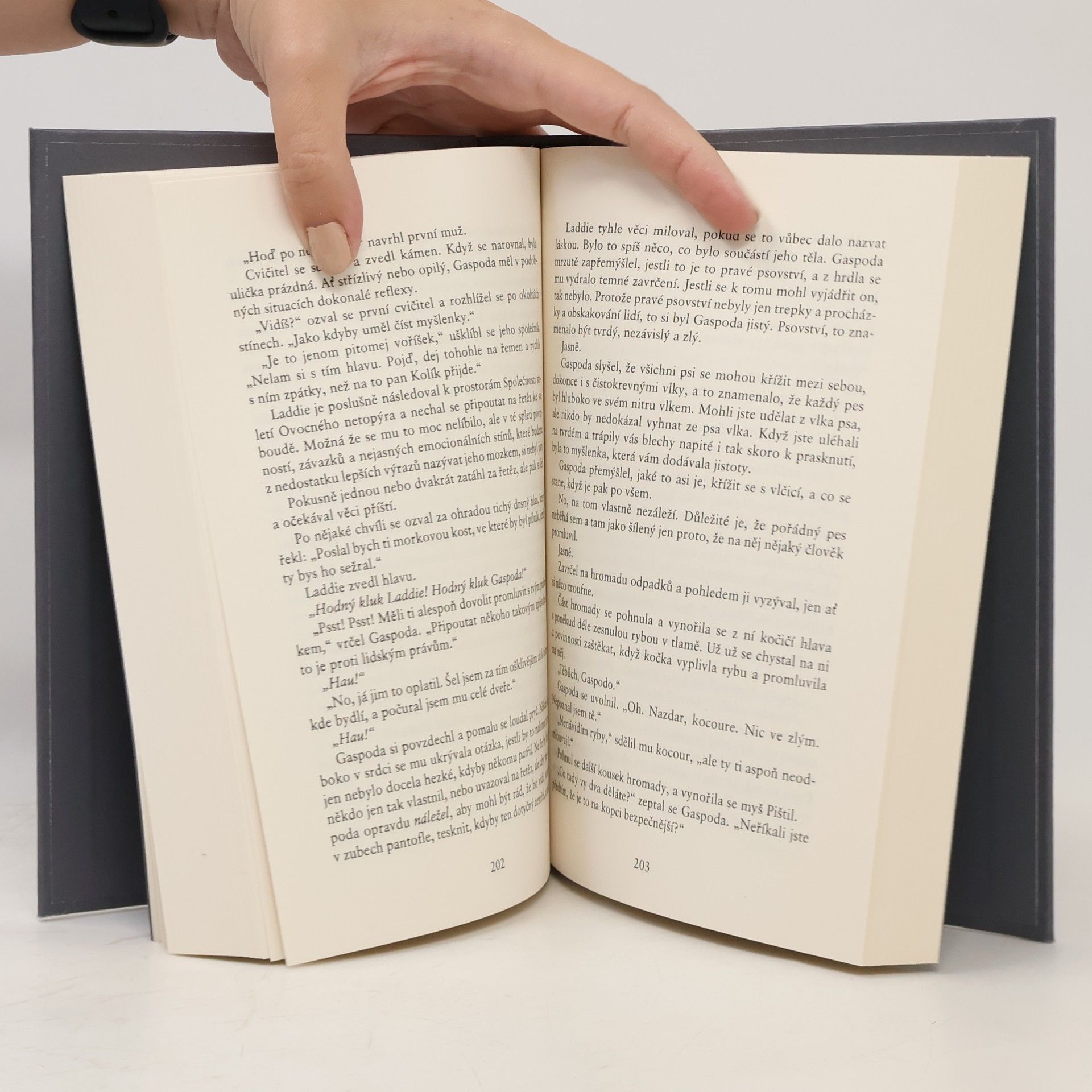 Terry Pratchett Pohyblivé obrázky