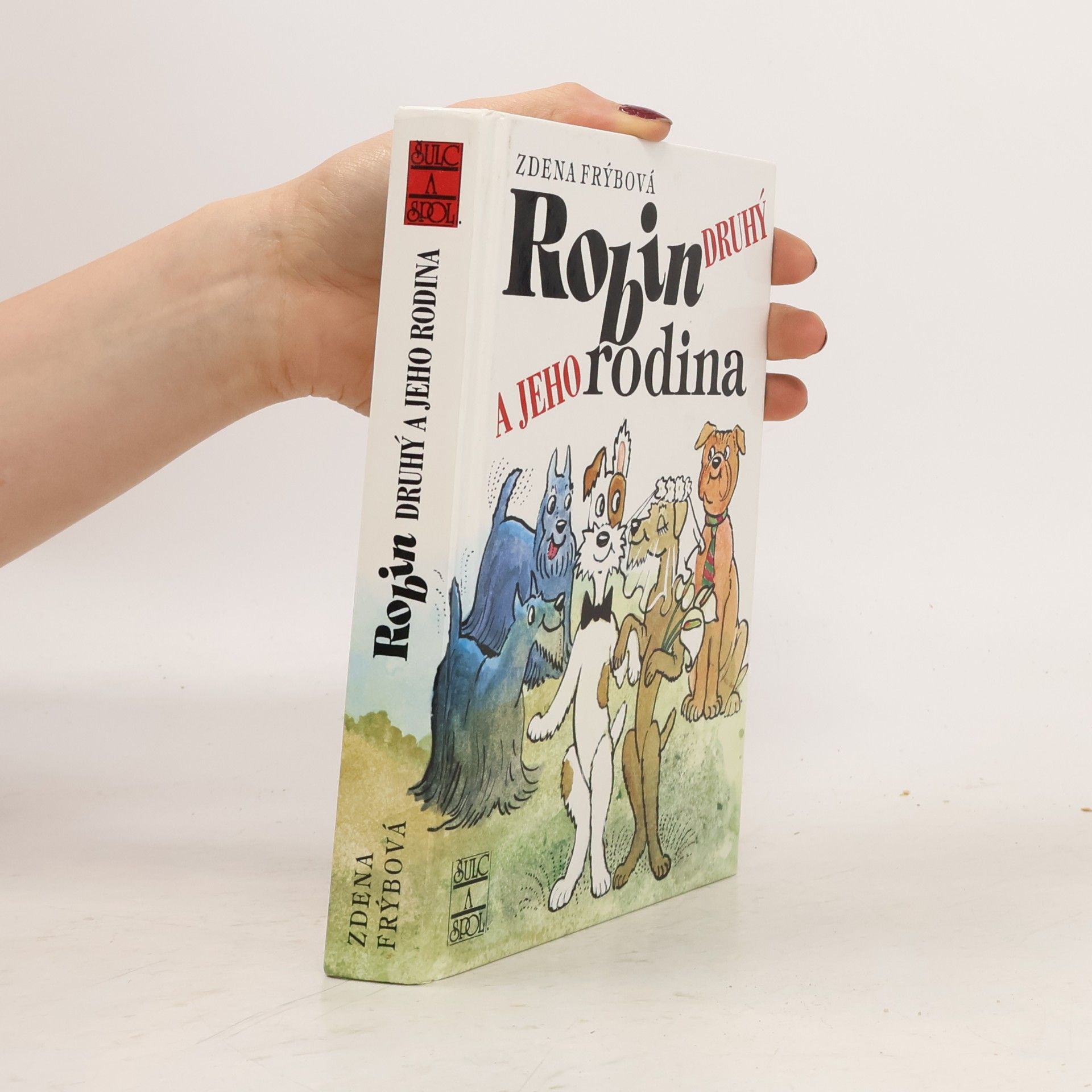Zdena Frýbová Robin Druhý a jeho rodina