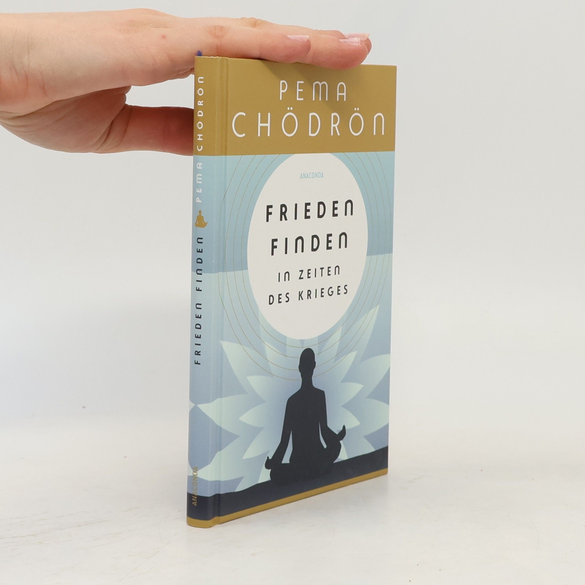 Pema Chödrön Frieden finden in Zeiten des Krieges