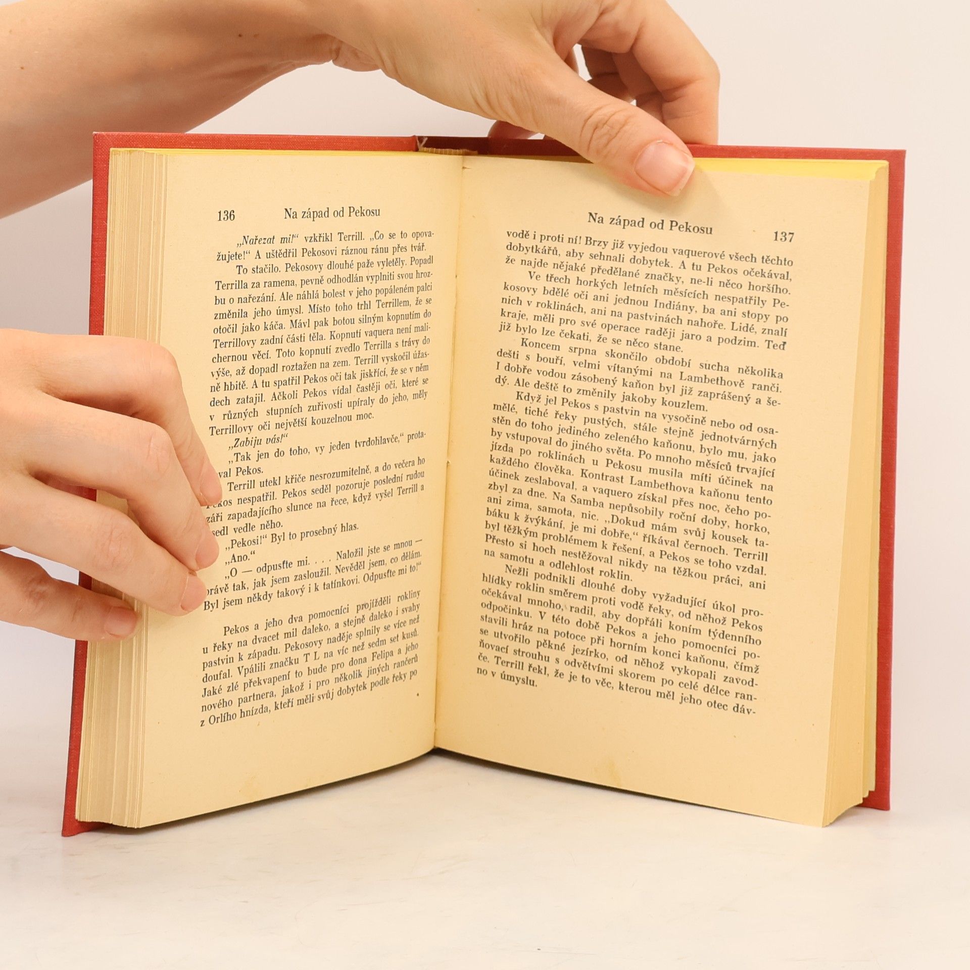 Zane Grey Na západ od Pekosu