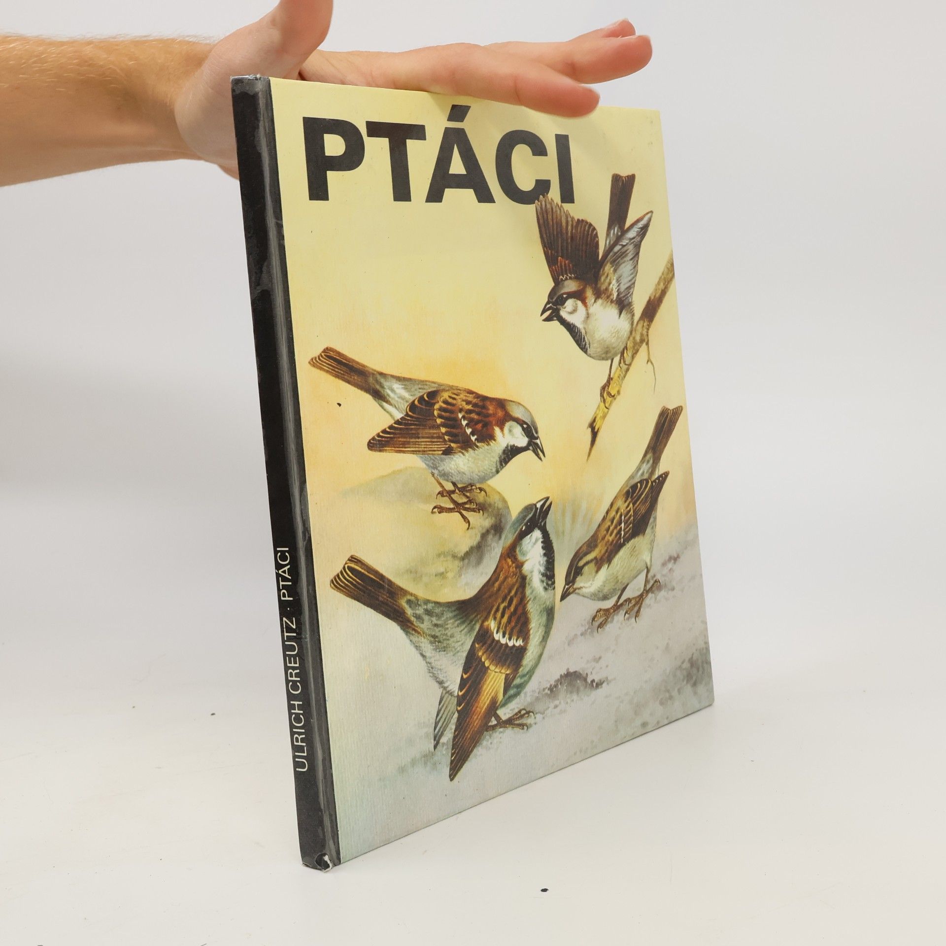 Ptáci