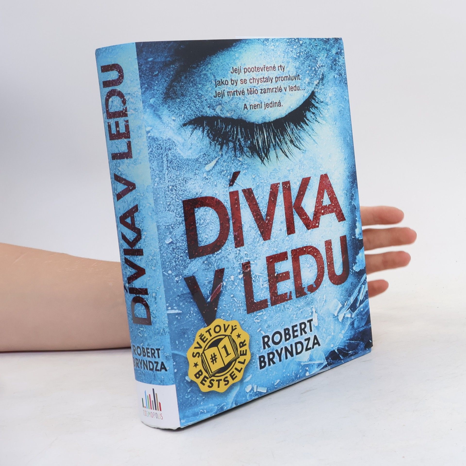 Robert Bryndza Dívka v ledu