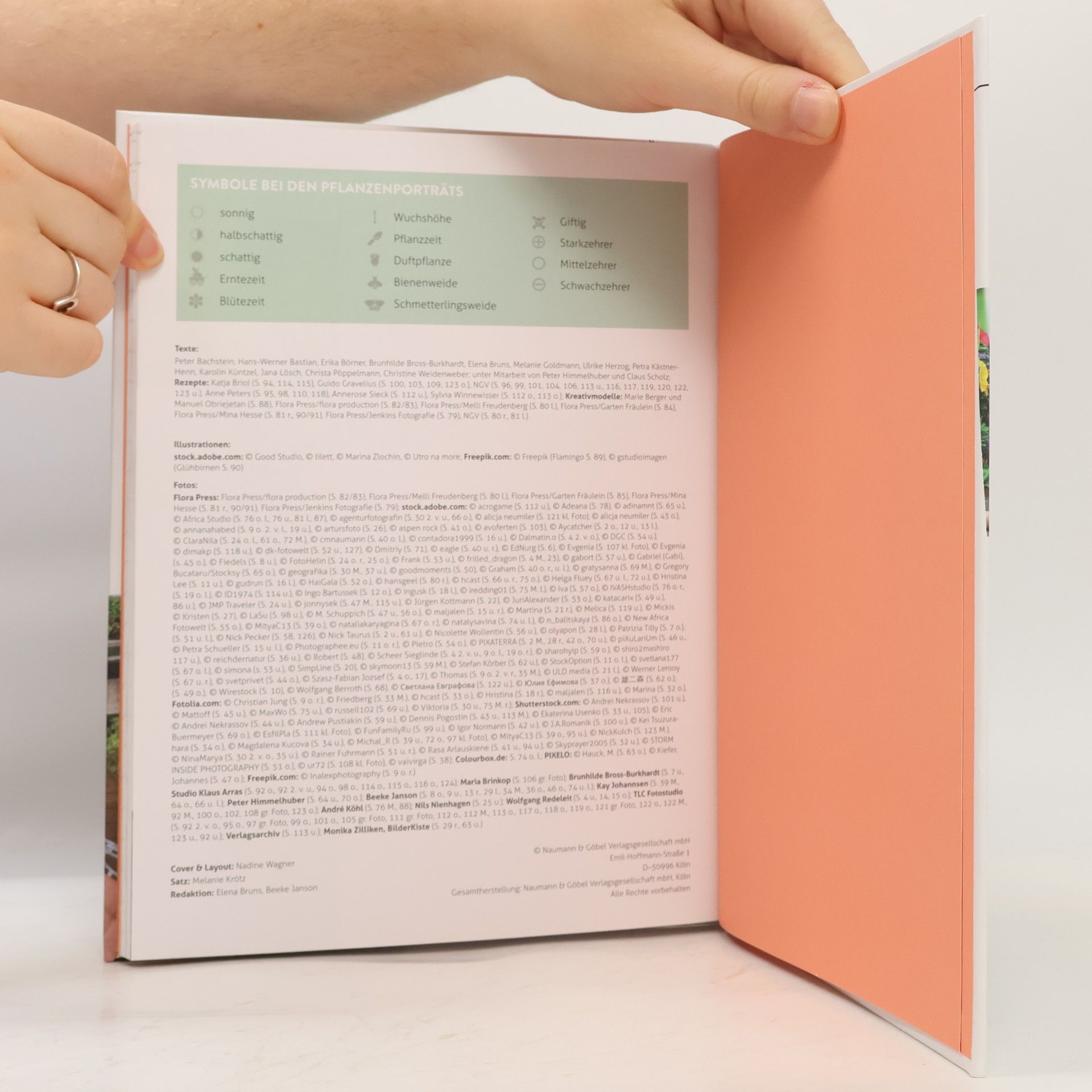 Autorenkollektiv Mein kleines Balkonien