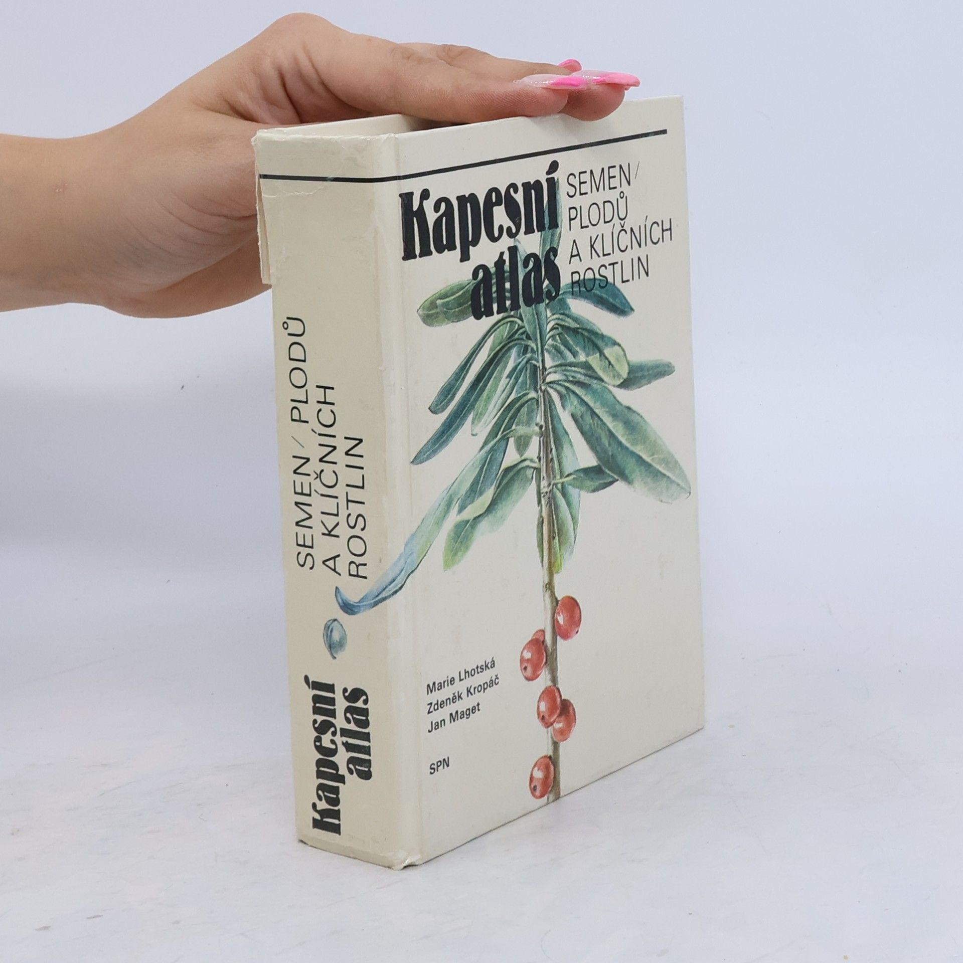 Marie Lhotská Kapesní atlas semen, plodů a klíčních rostlin
