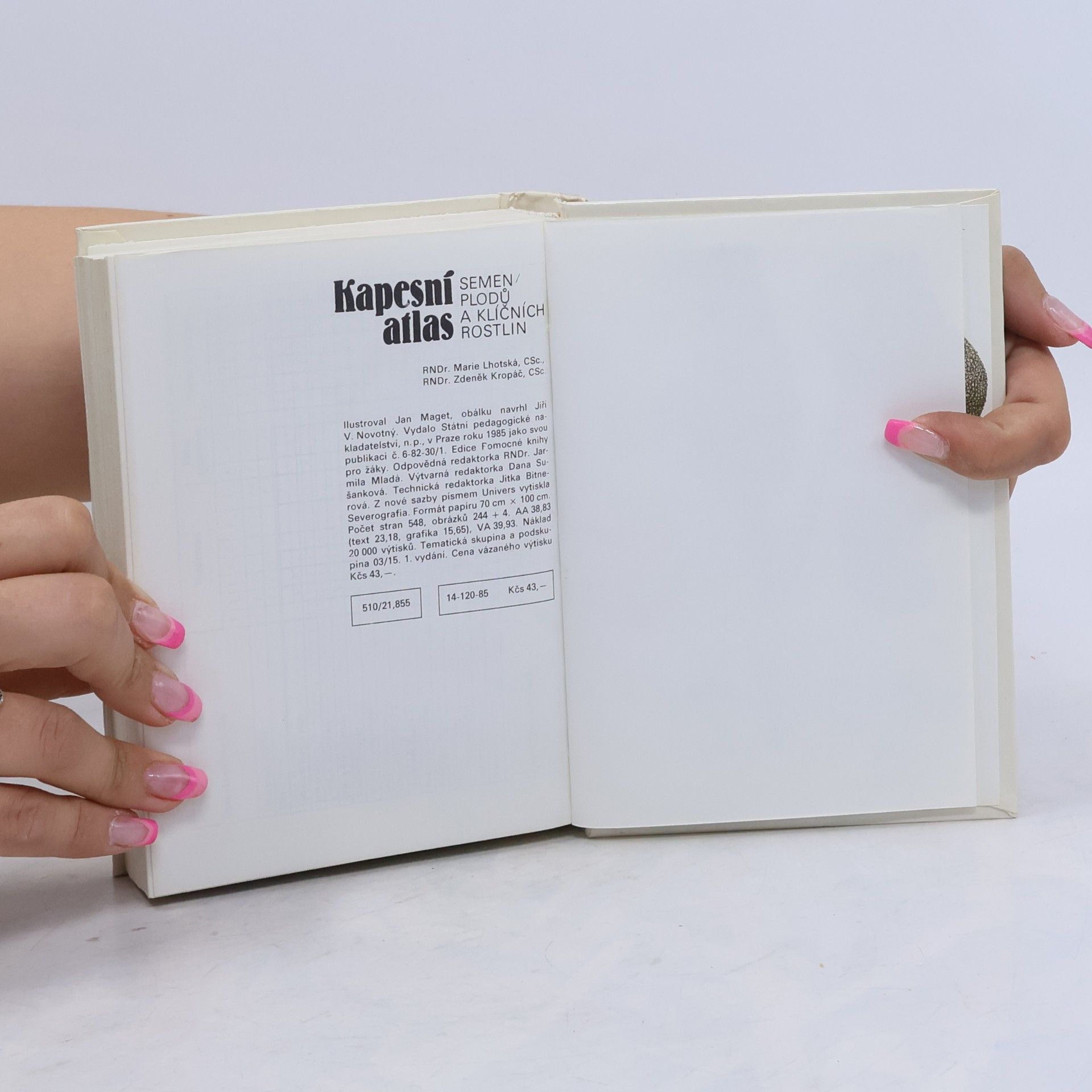 Marie Lhotská Kapesní atlas semen, plodů a klíčních rostlin