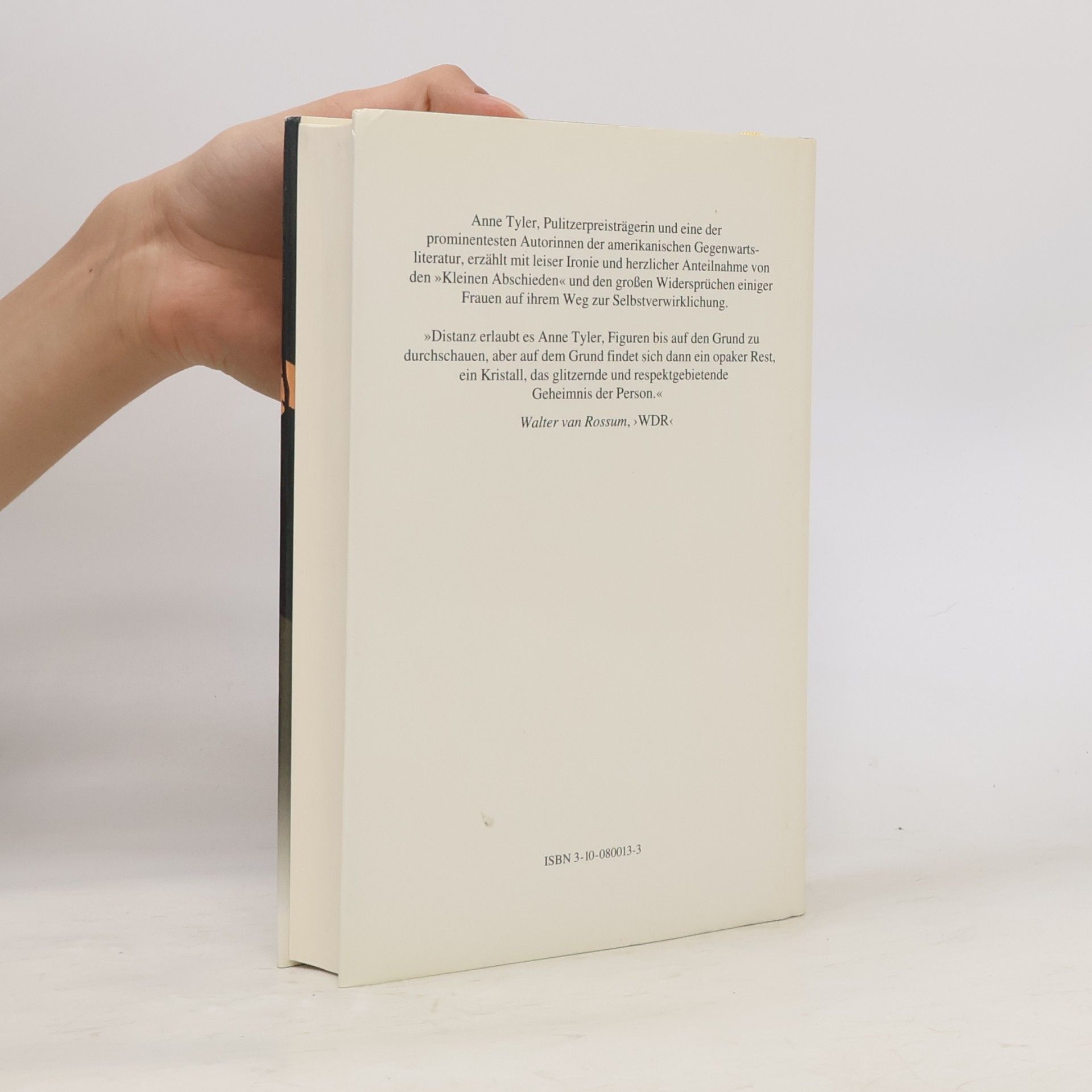 Anne Tyler Kleine Abschiede