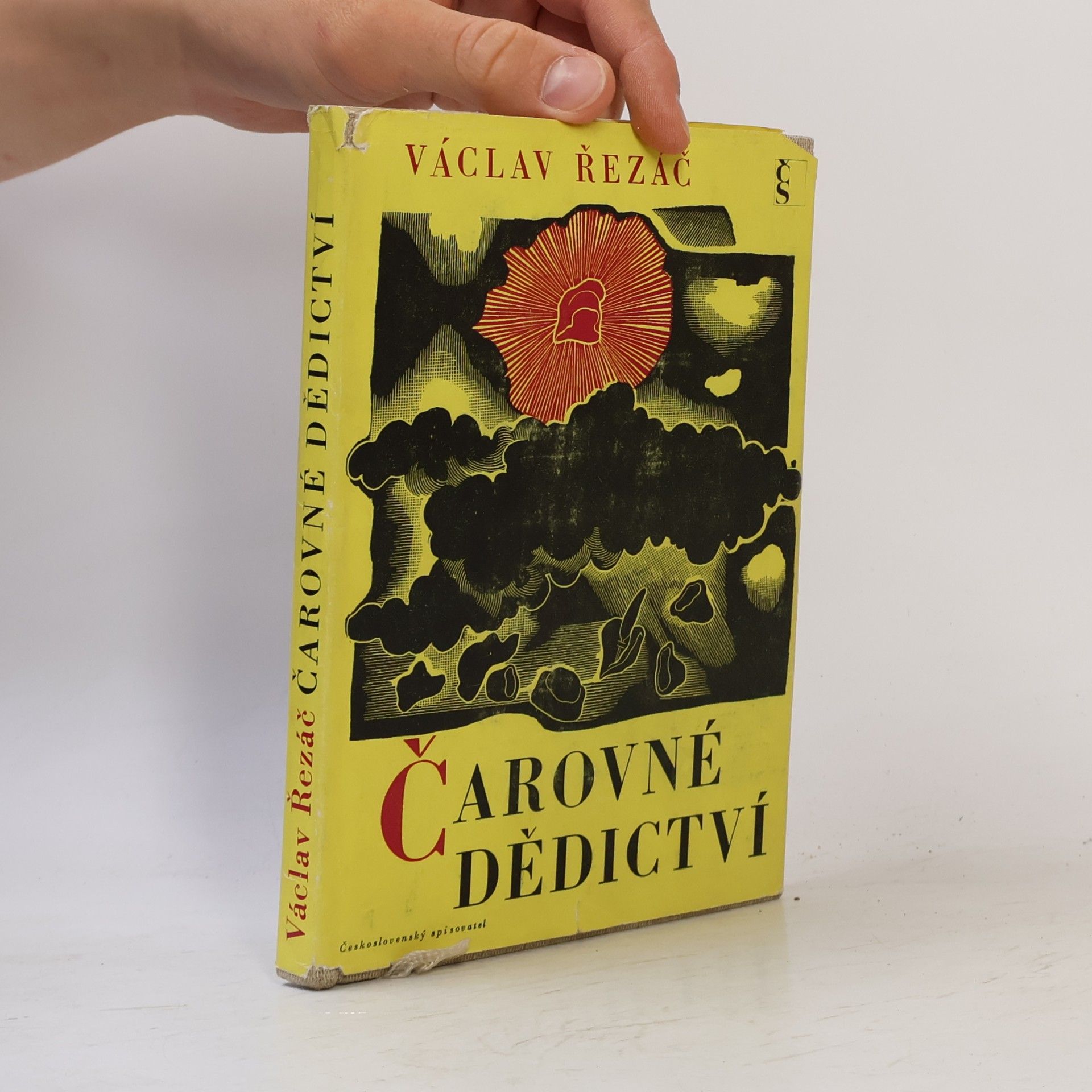 Čarovné dědictví