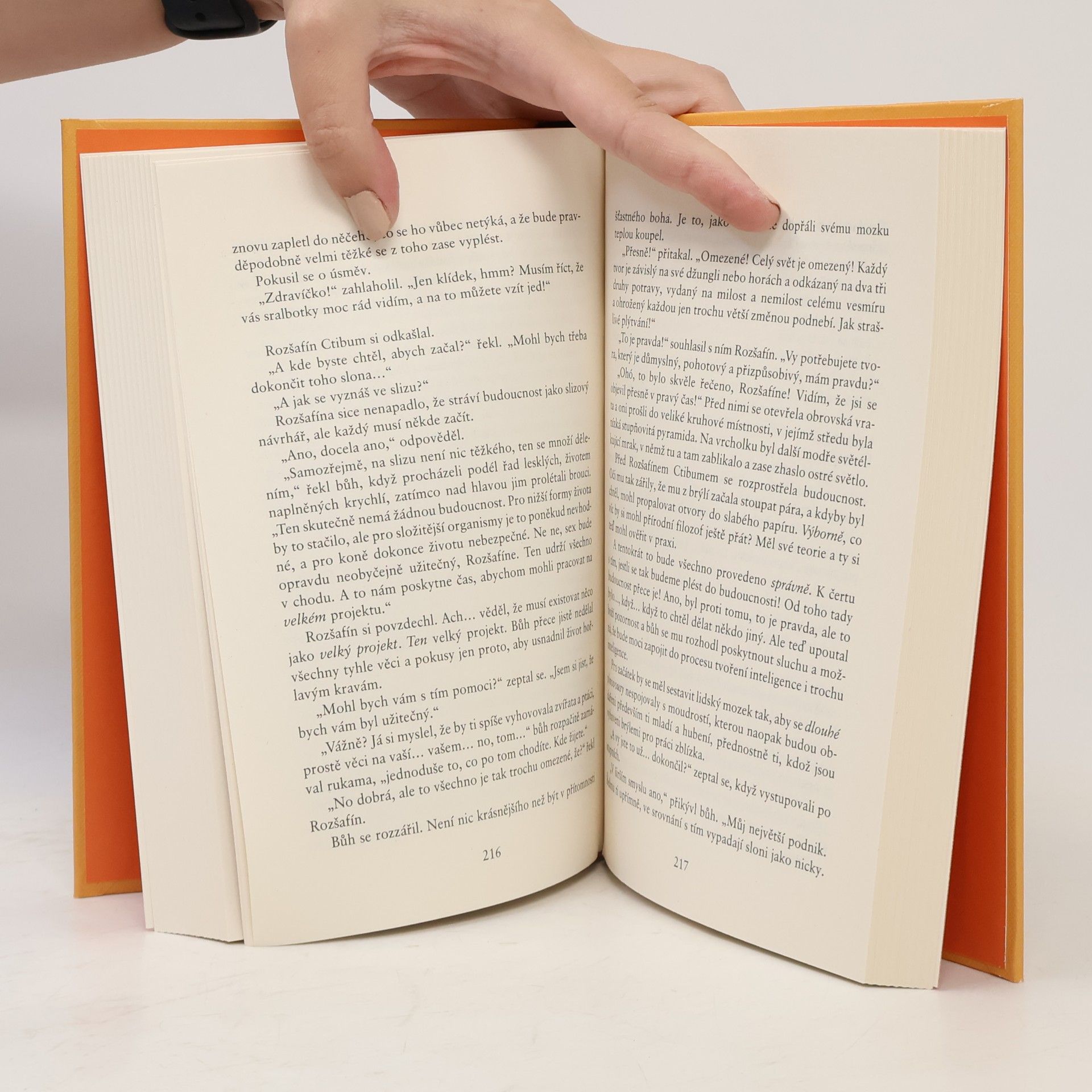 Terry Pratchett Poslední kontinent