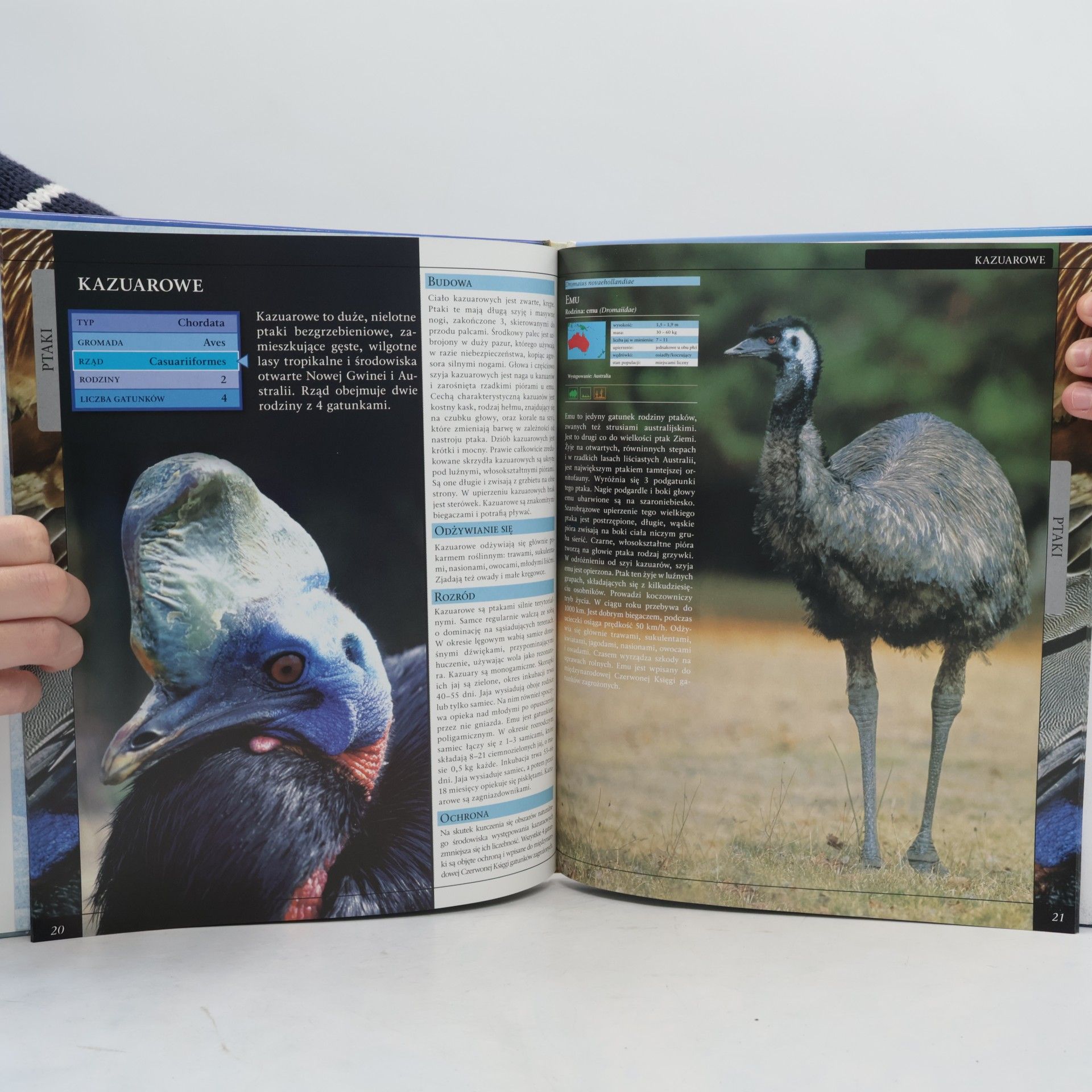 Autorenkollektiv WIELKA ENCYKLOPEDIA ZWIERZĄT 5