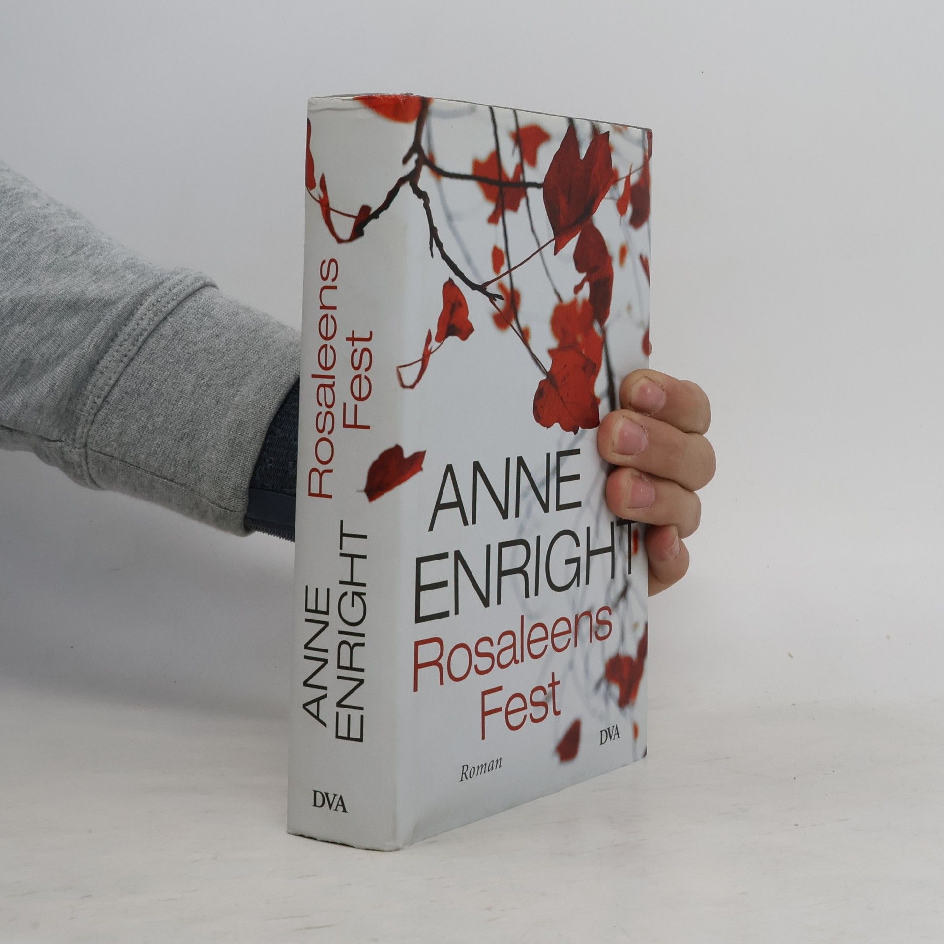 Anne Enright Rosaleens Fest
