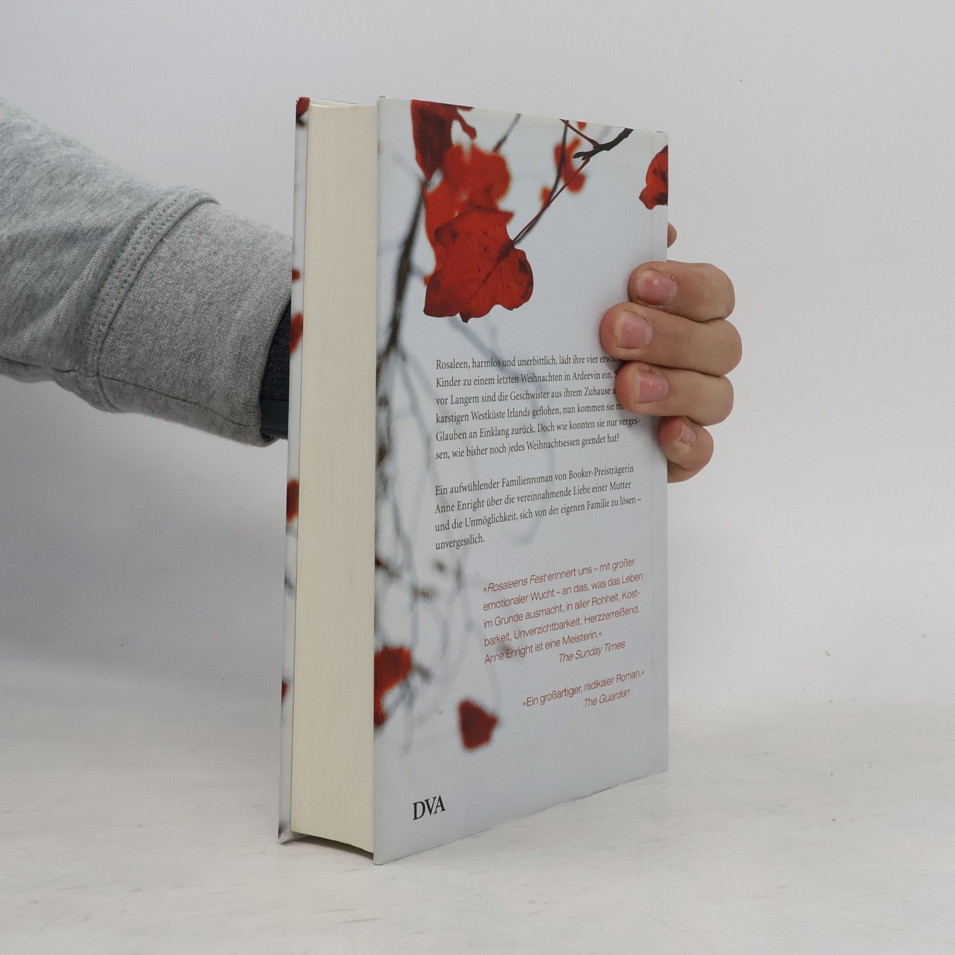 Anne Enright Rosaleens Fest
