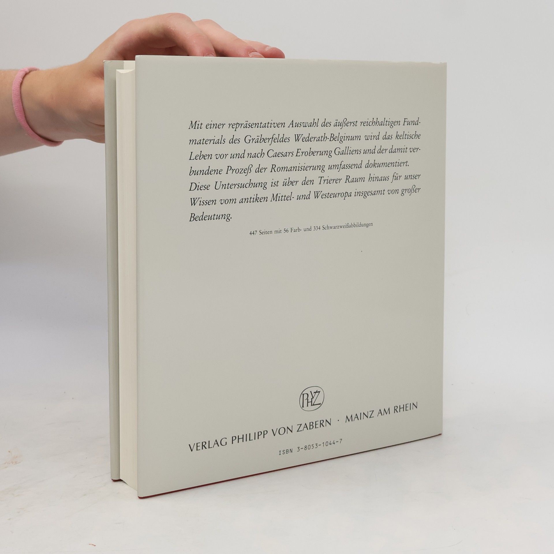 Alfred Haffner Schriftenreihe des Rheinischen Landesmuseums Trier: Gräber, Spiegel des Lebens
