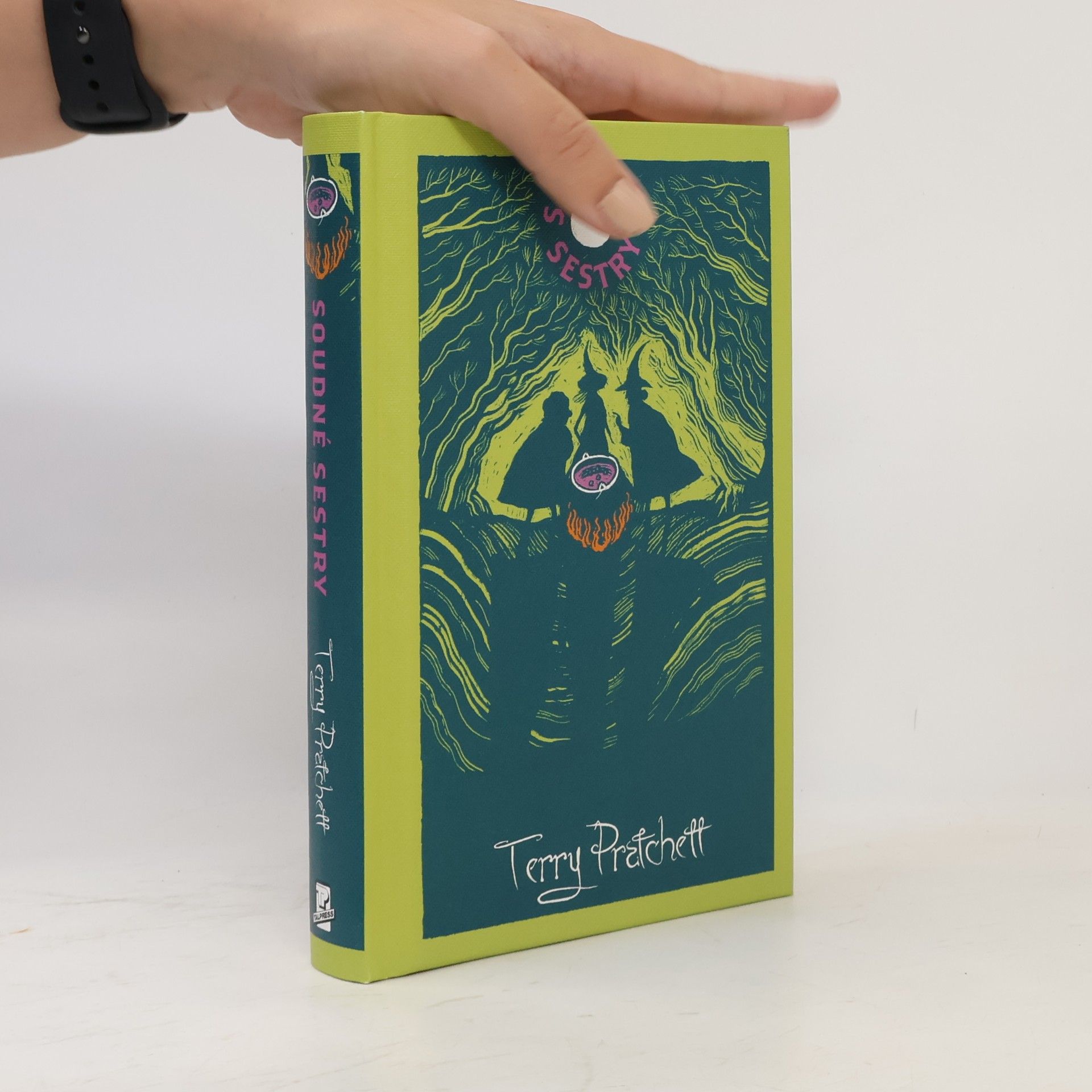 Terry Pratchett Soudné sestry