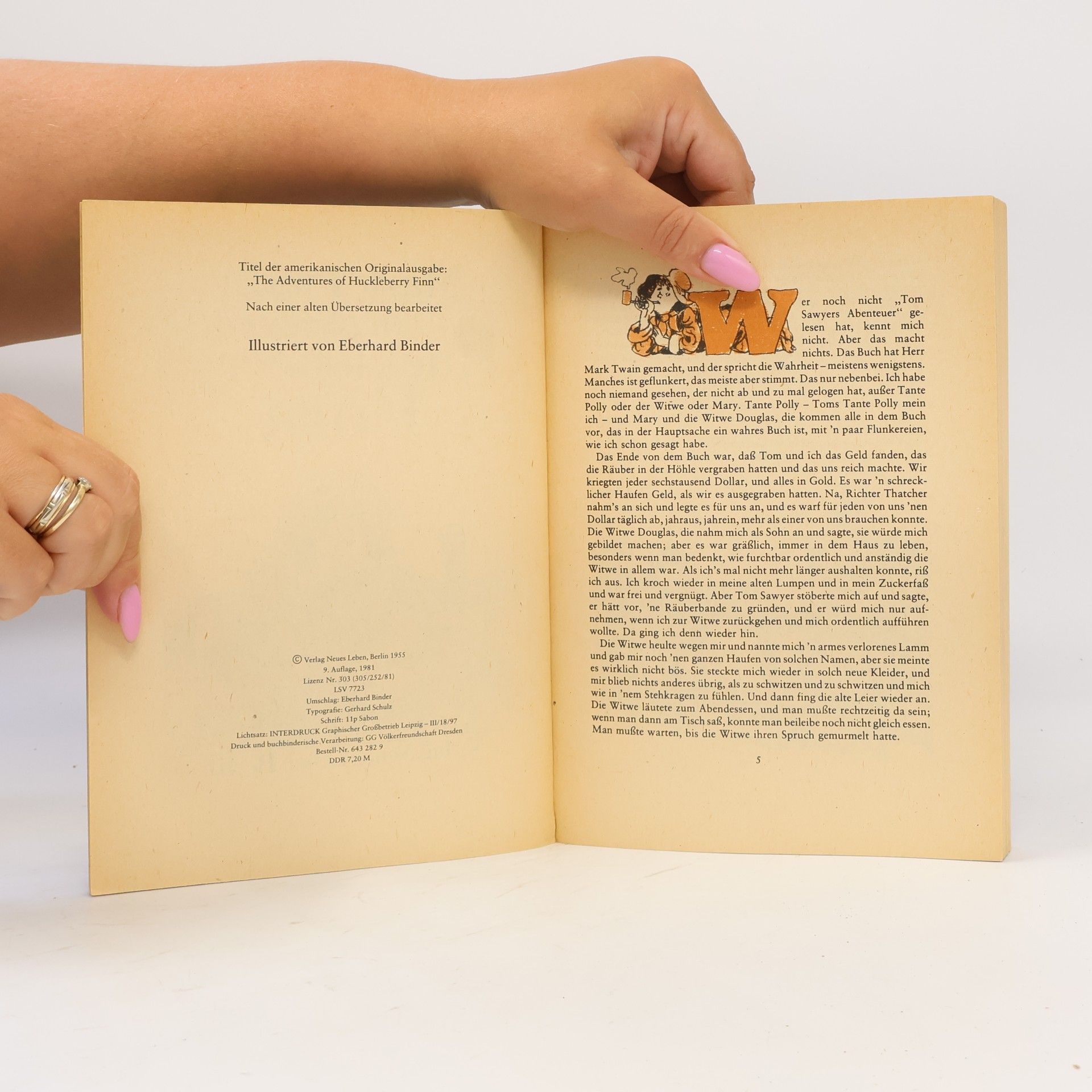 Mark Twain Die Abenteuer des Huckleberry Finn