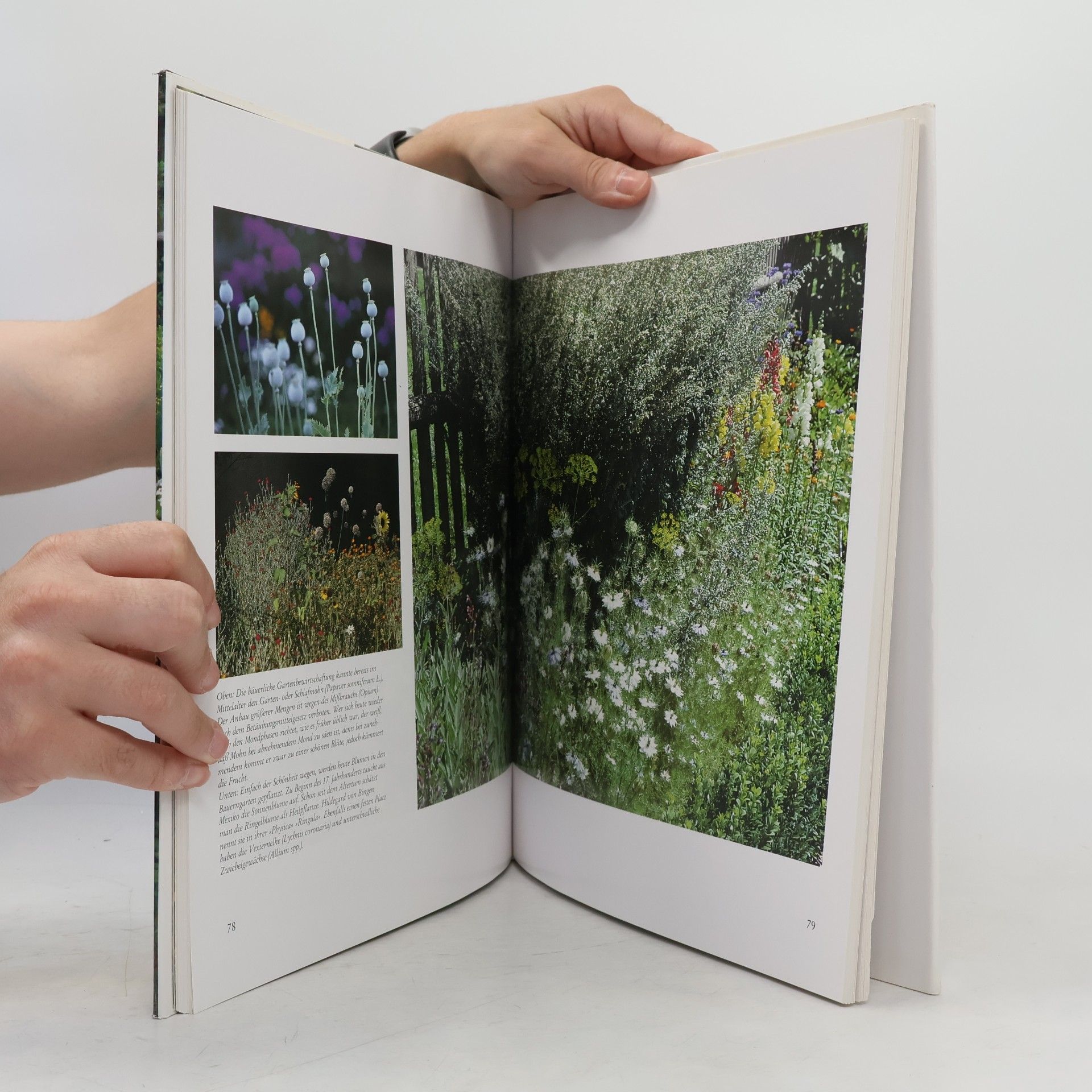 Wolf-Dietmar Unterweger Das große Buch der Bauerngärten