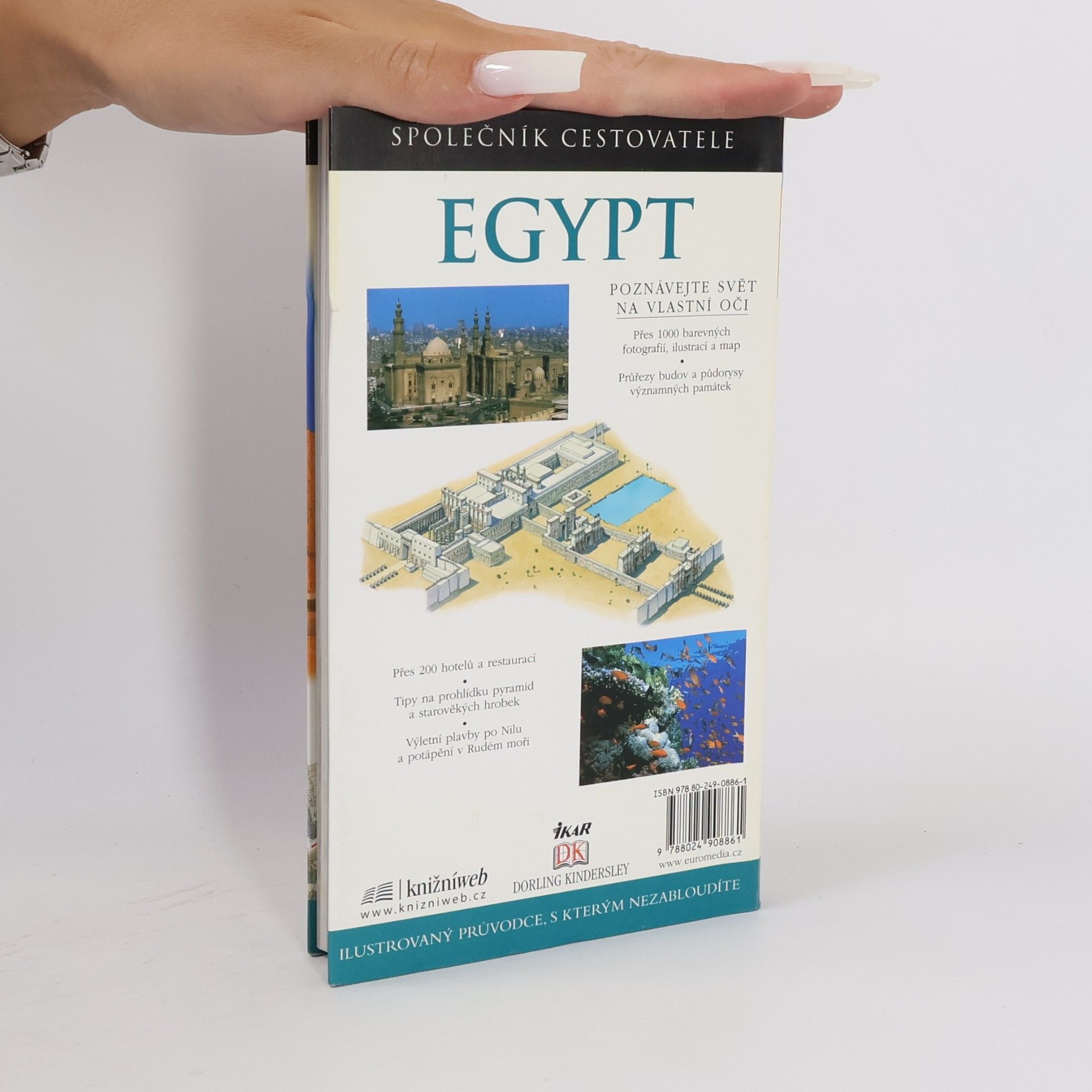 Jane Dunford Egypt