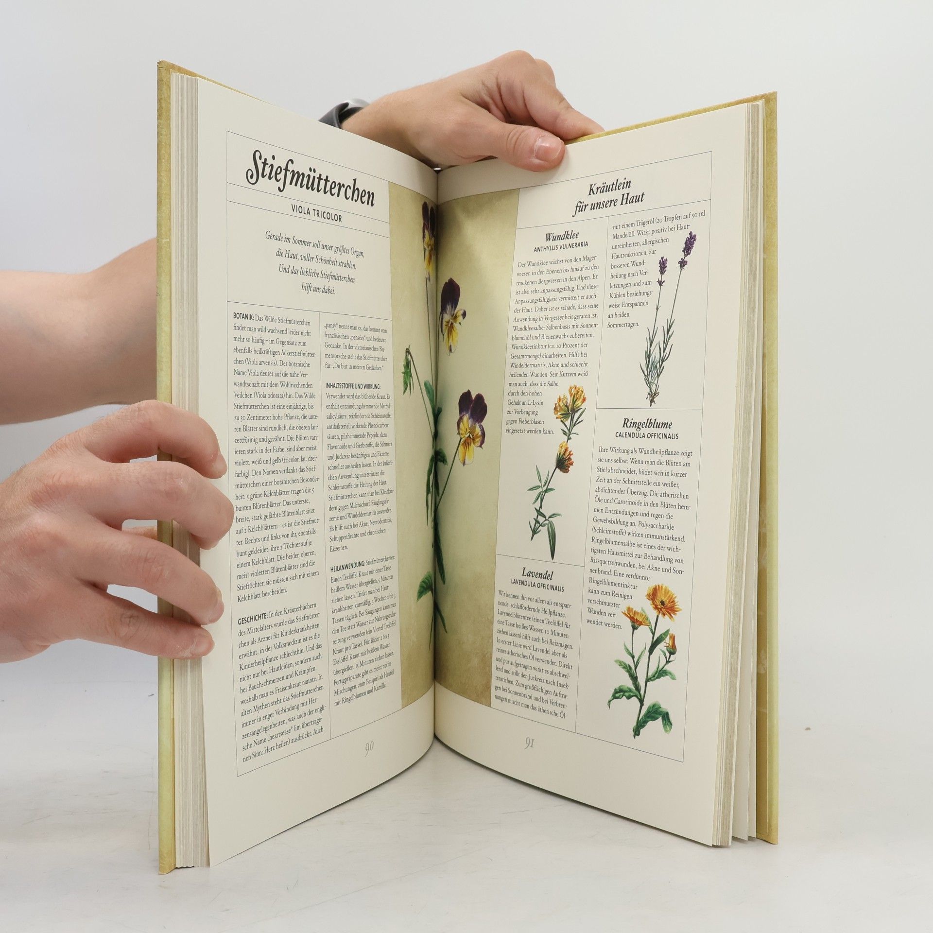 Karin Buchart Die Naturapotheke