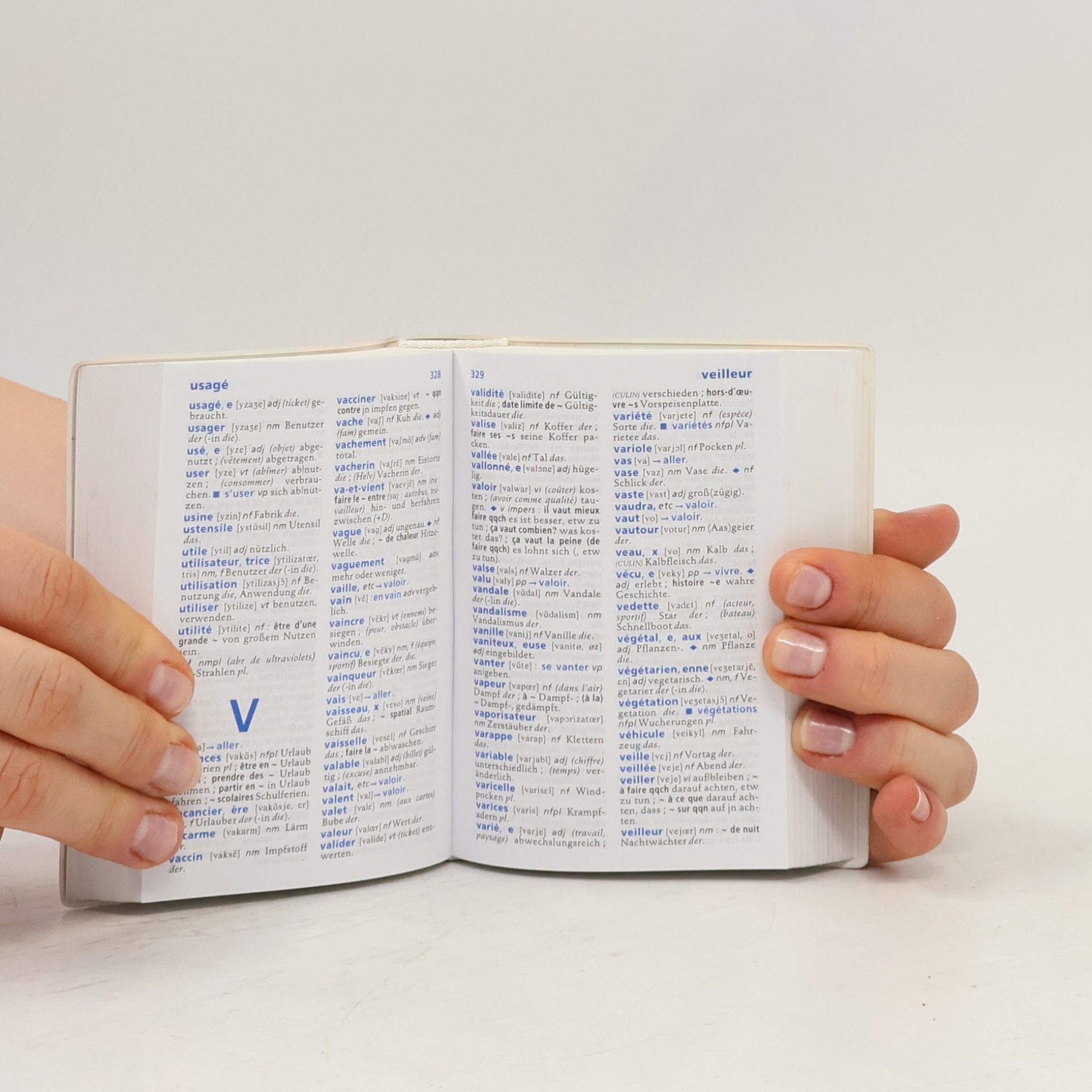 Basiswörterbuch französisch-deutsch, deutsch-französisch