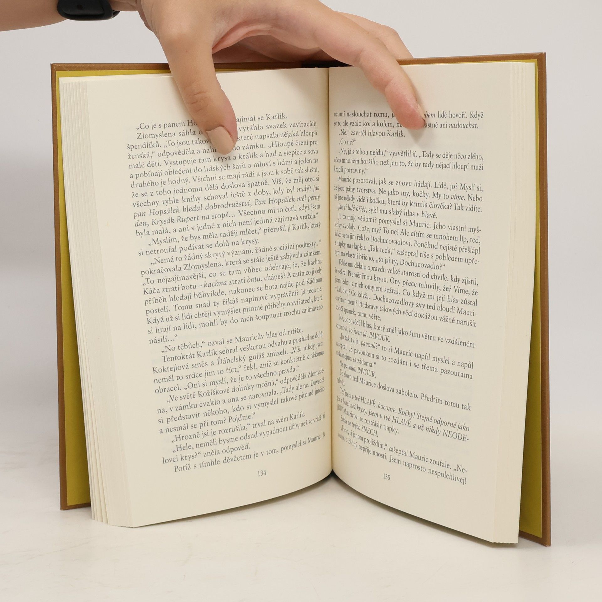 Terry Pratchett Úžasný Mauric a jeho vzdělaní hlodavci