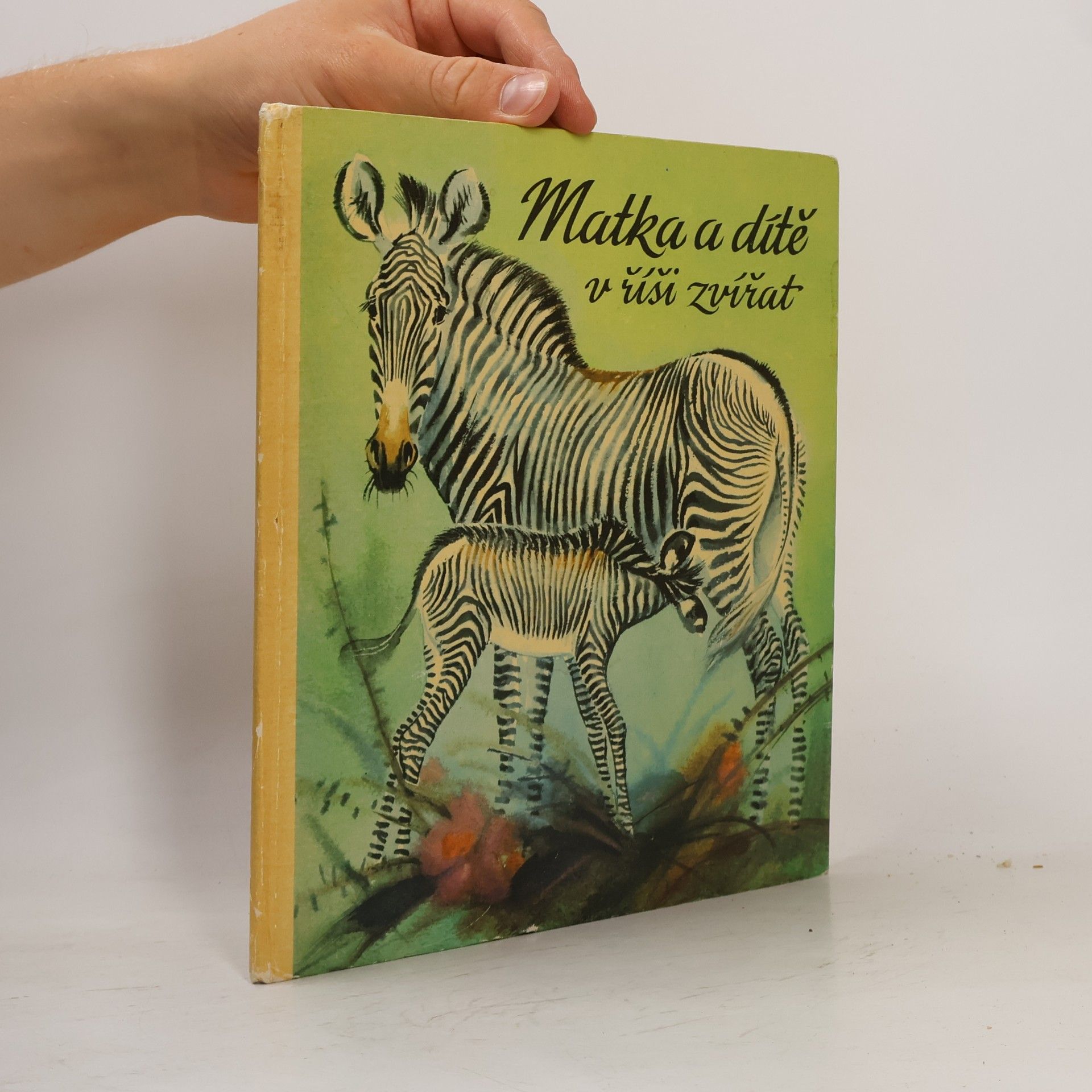 Matka a dítě v říši zvířat