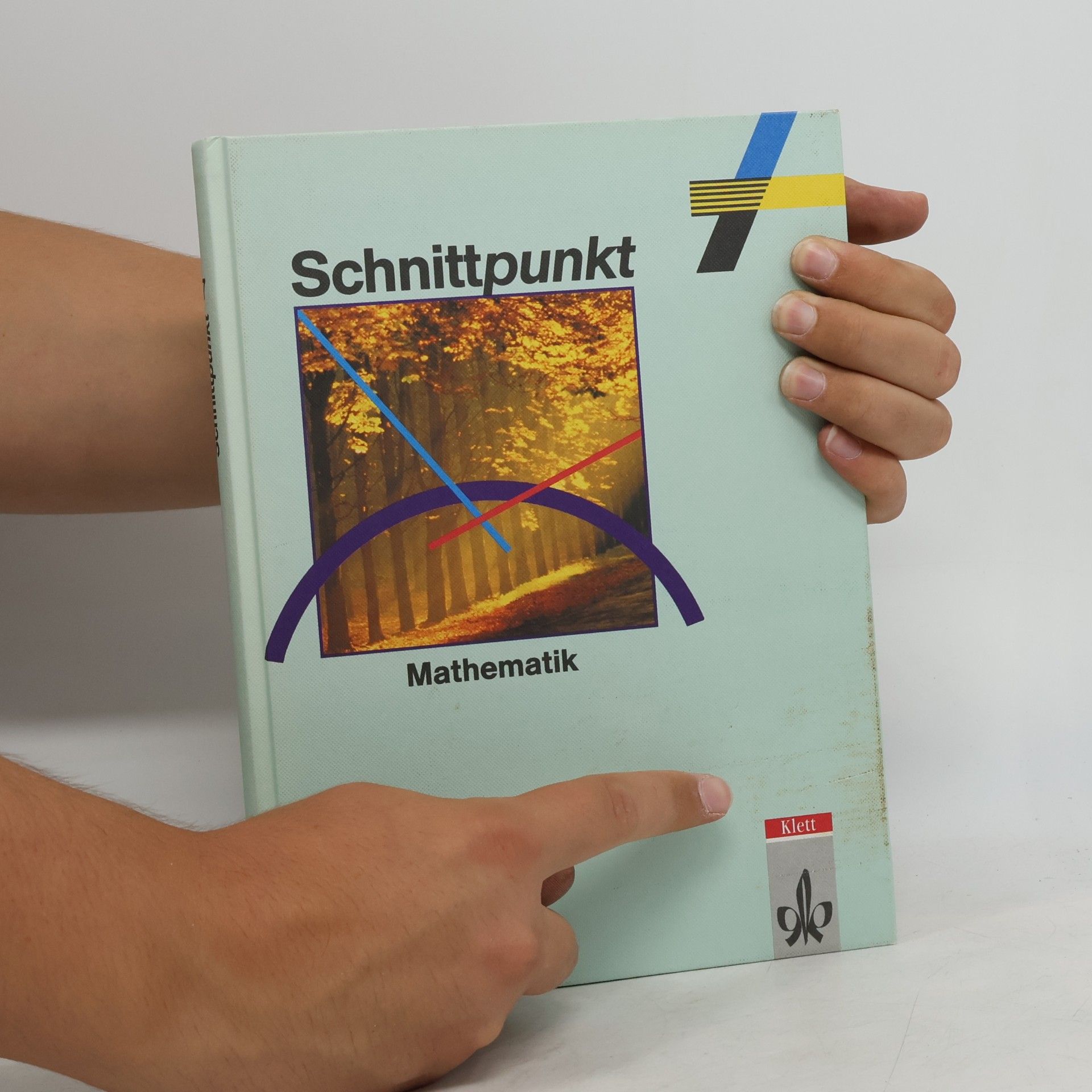 Schnittpunkt - Mathematik