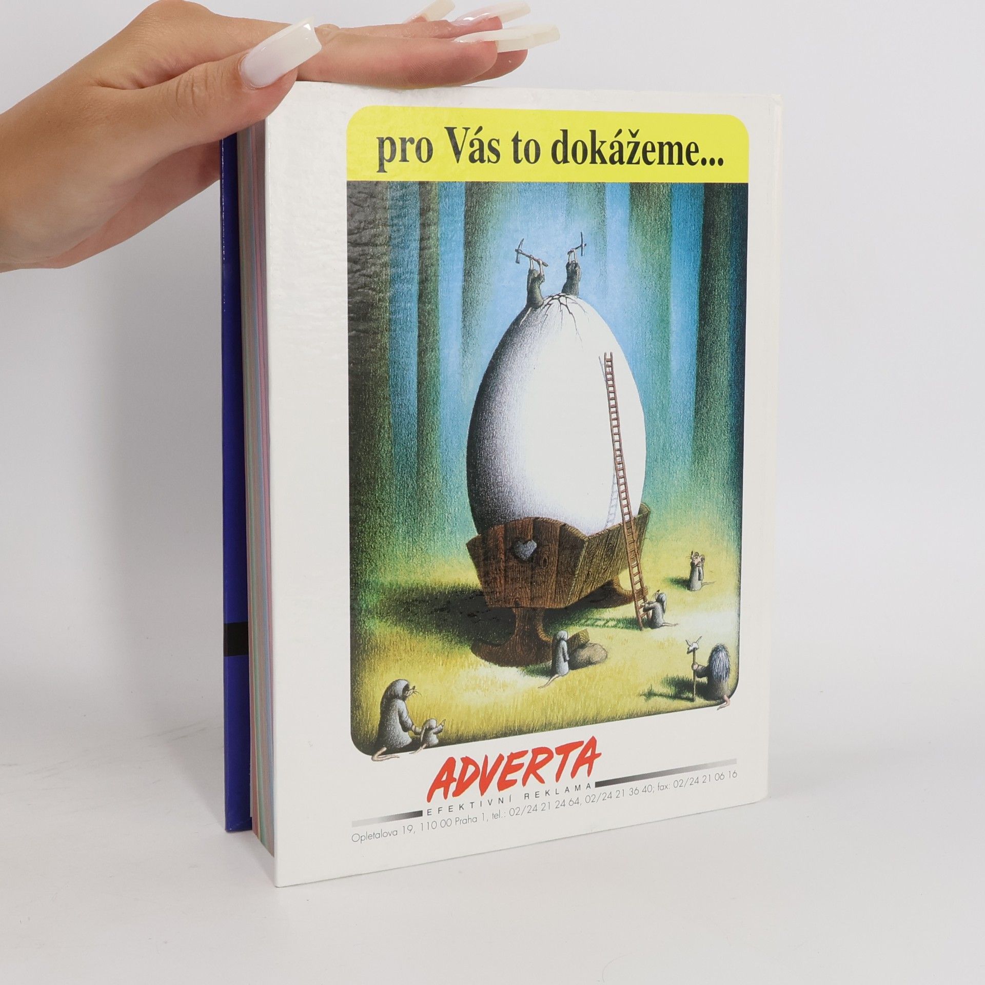 Václav Baráček Reklama a marketing '95