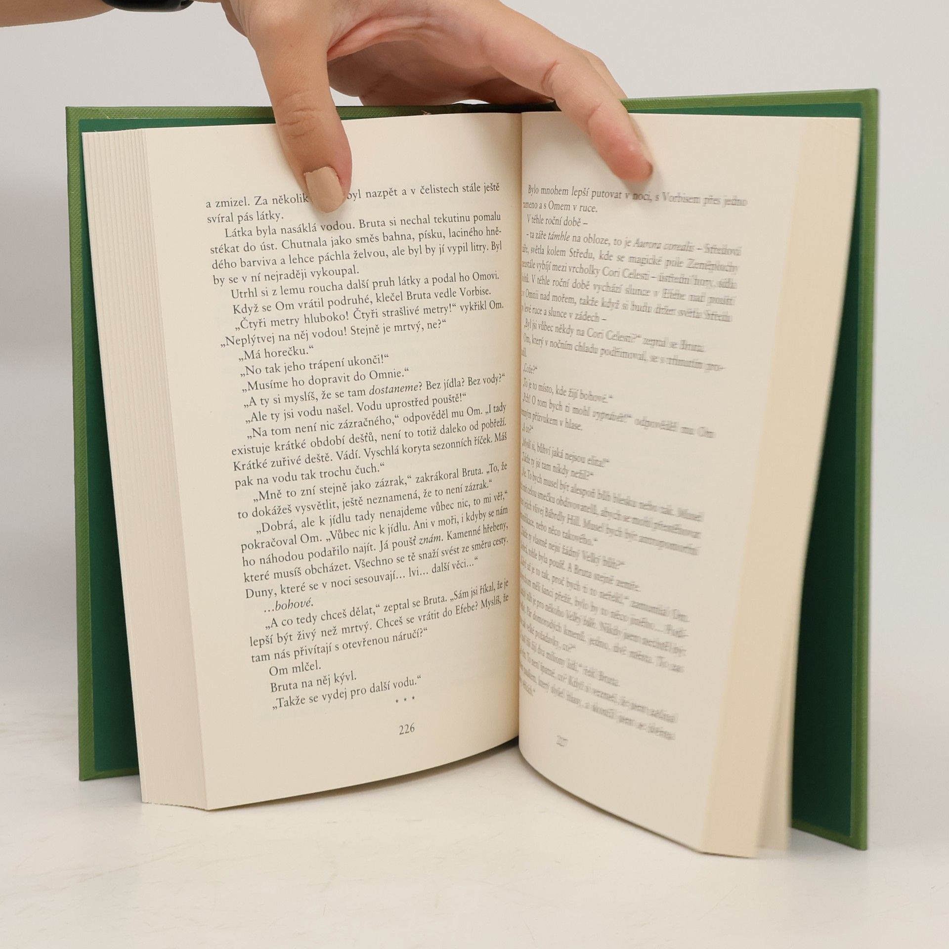 Terry Pratchett Malí bohové