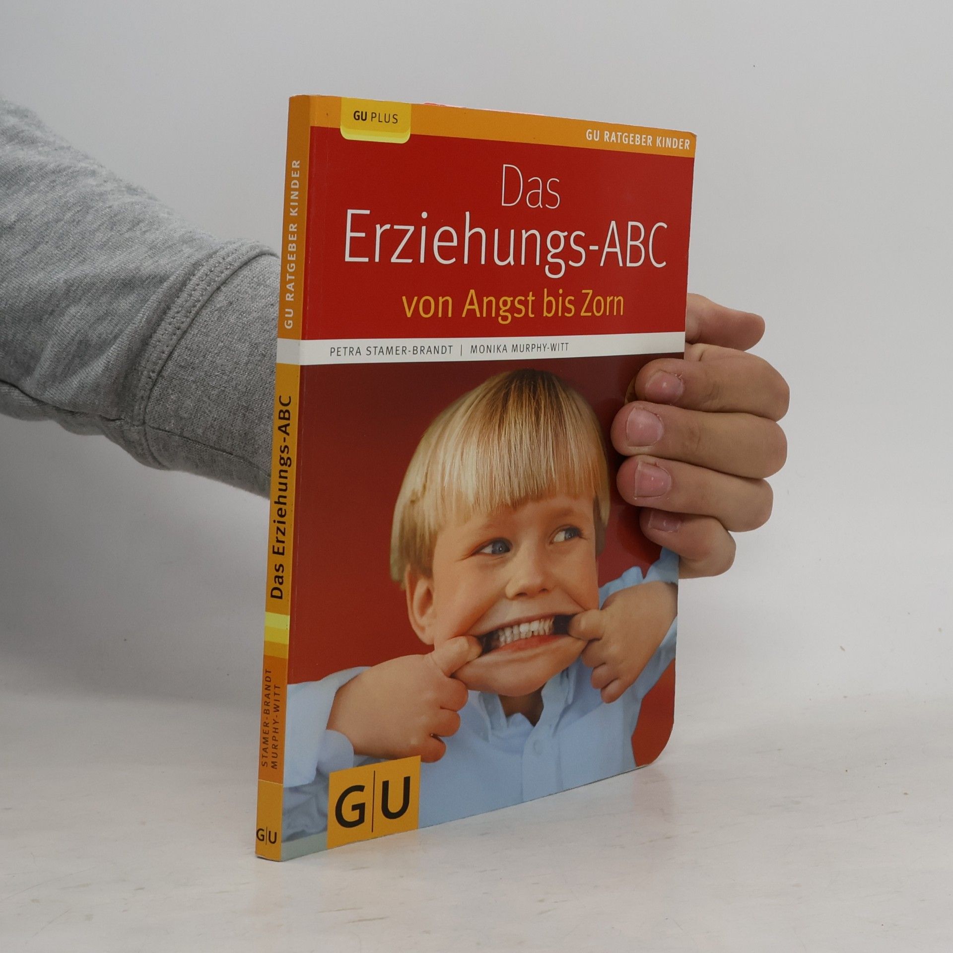 Petra Stamer Brandt Das Erziehungs-ABC