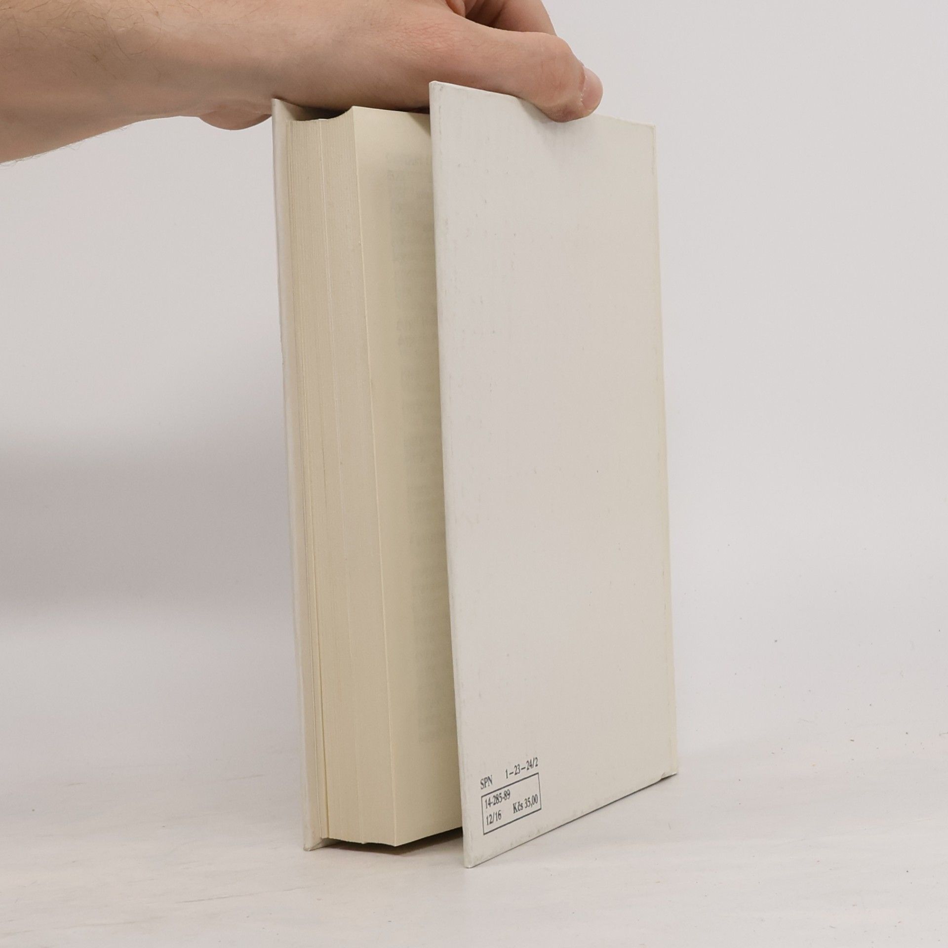 Milan Zeman Rozumět literatuře 1