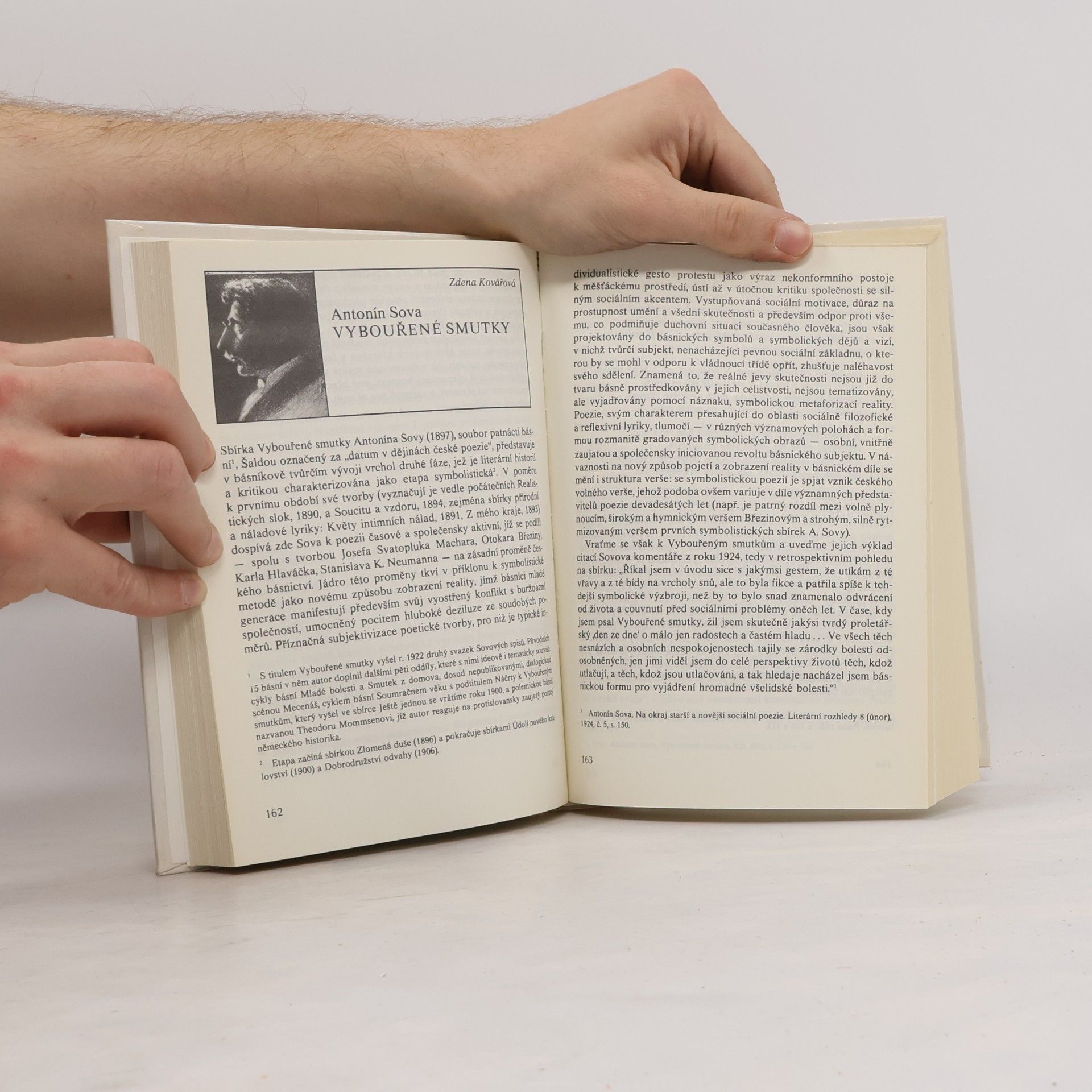 Milan Zeman Rozumět literatuře 1