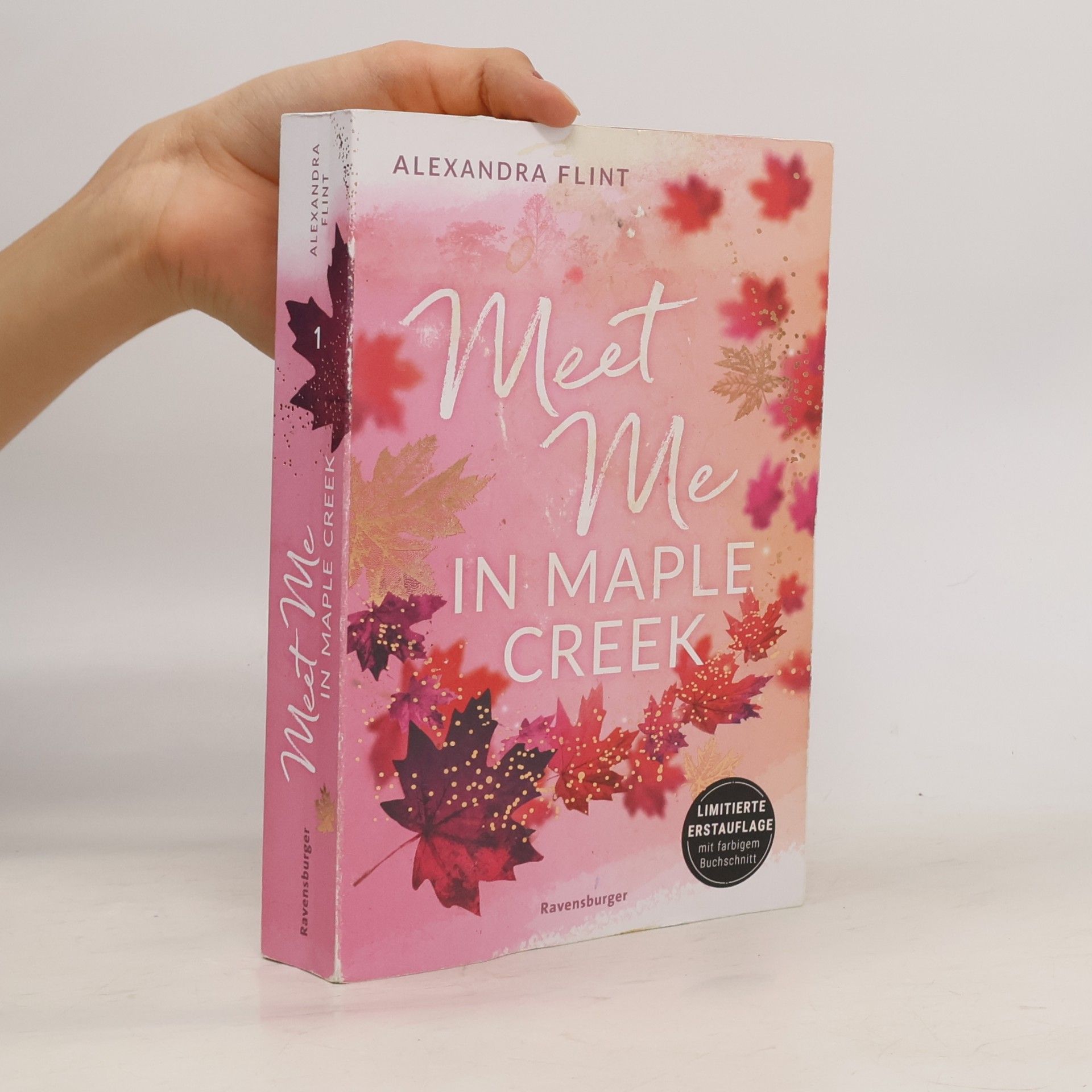 Alexandra Flint Meet me in Maple Creek