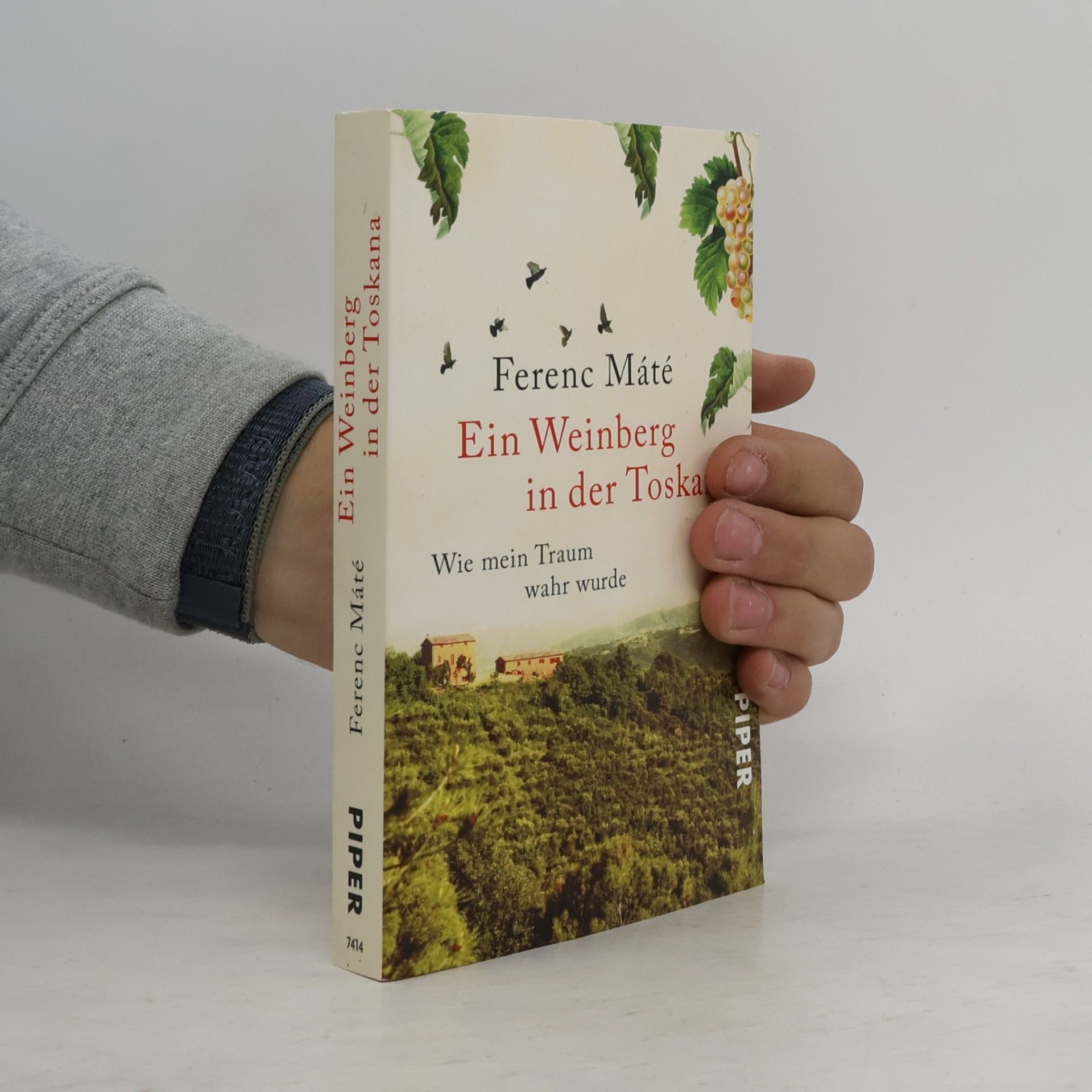 Ferenc Máté Ein Weinberg in der Toskana