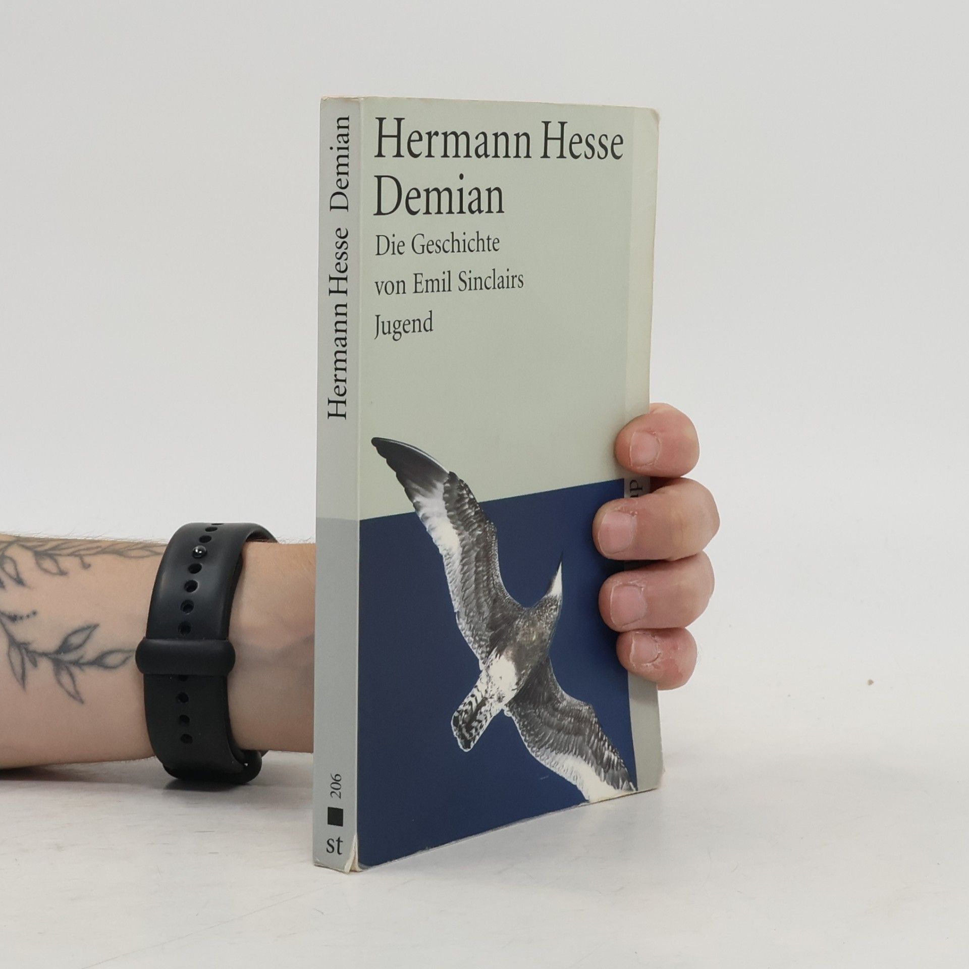 Hermann Hesse Demian