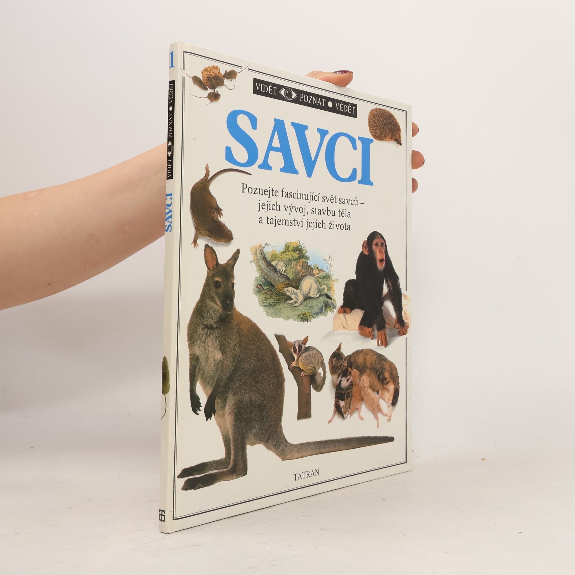 Steve Parker Savci