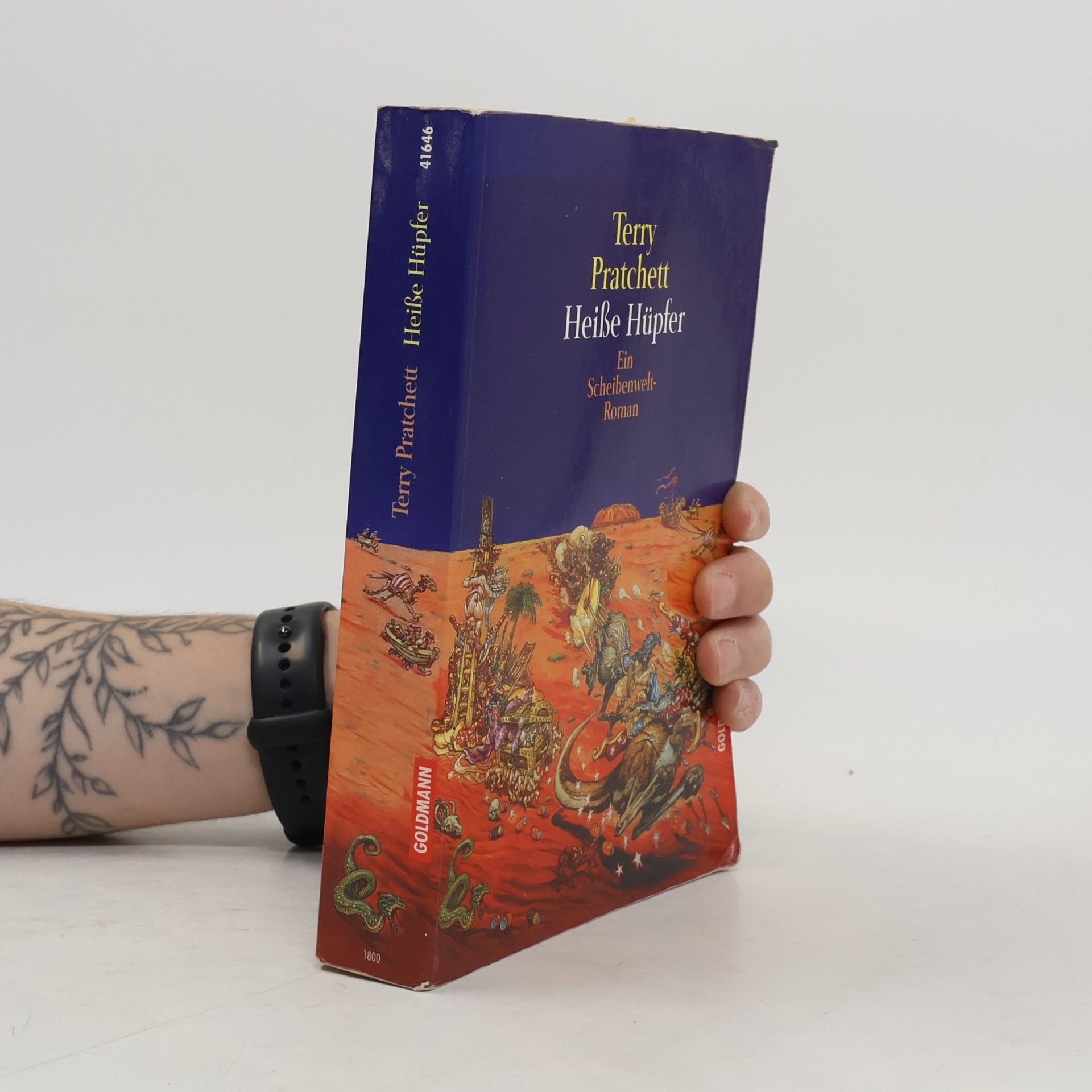 Terry Pratchett Heiße Hüpfer