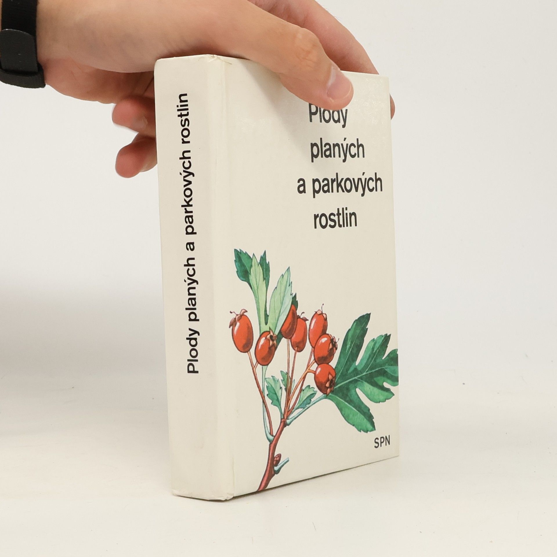 Přemysl Vanke Plody planých a parkových rostlin. Kapesní atlas