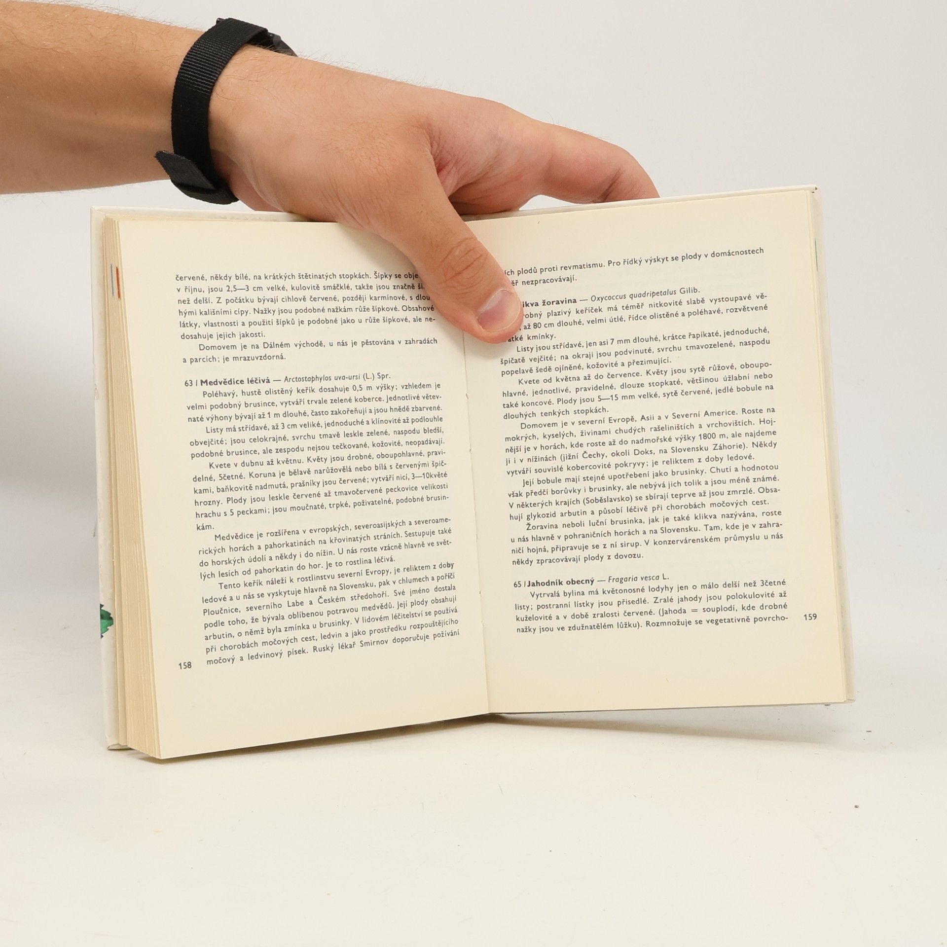 Přemysl Vanke Plody planých a parkových rostlin. Kapesní atlas
