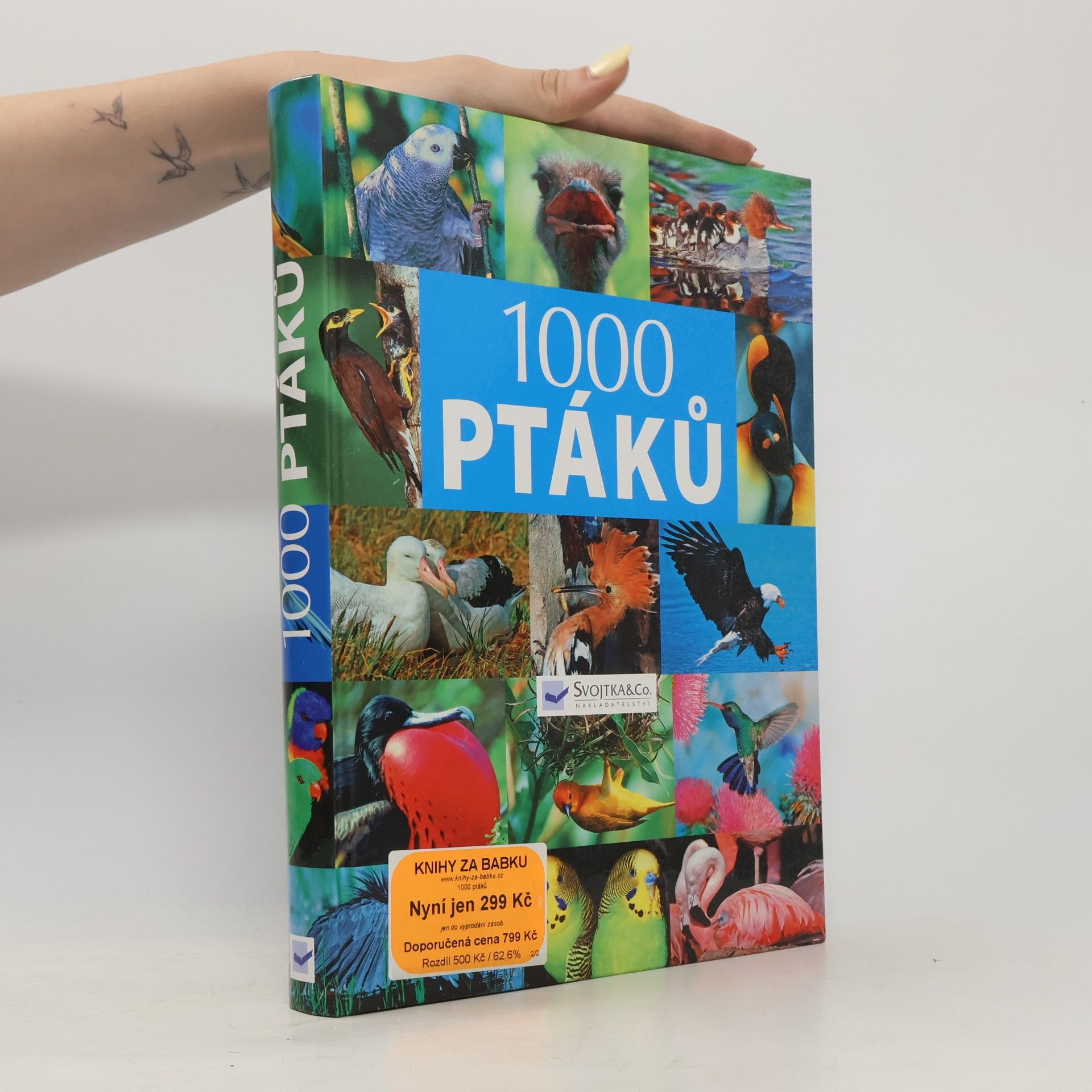 Various authors 1000 ptáků