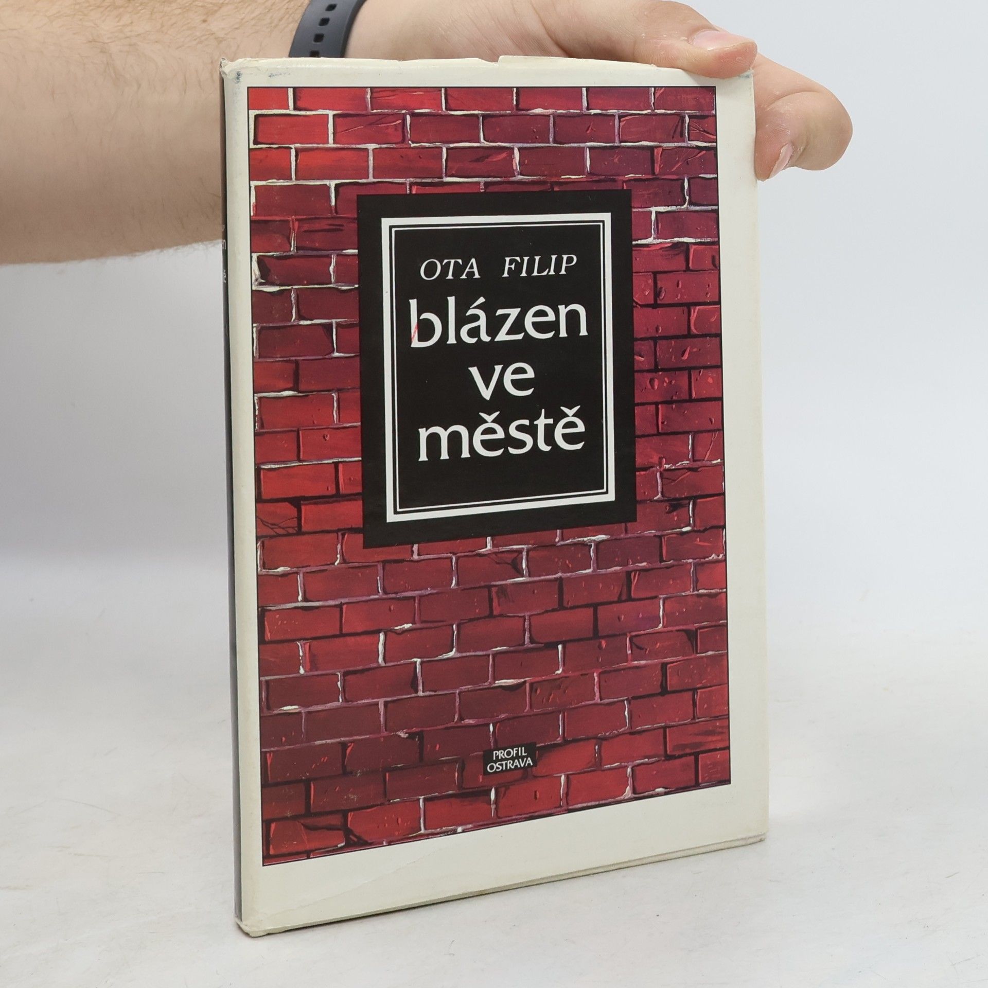Blázen ve městě