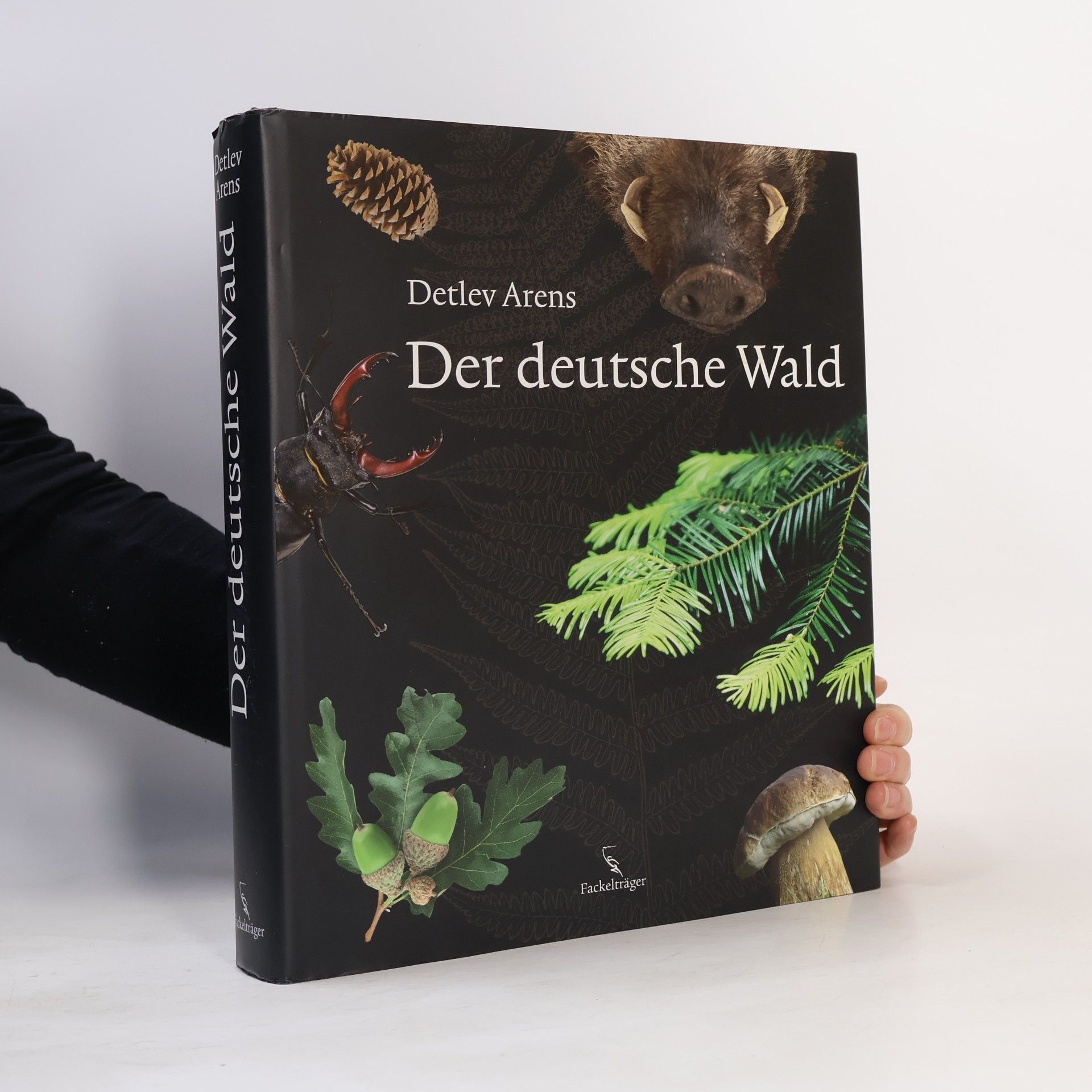 Detlev Arens Der deutsche Wald