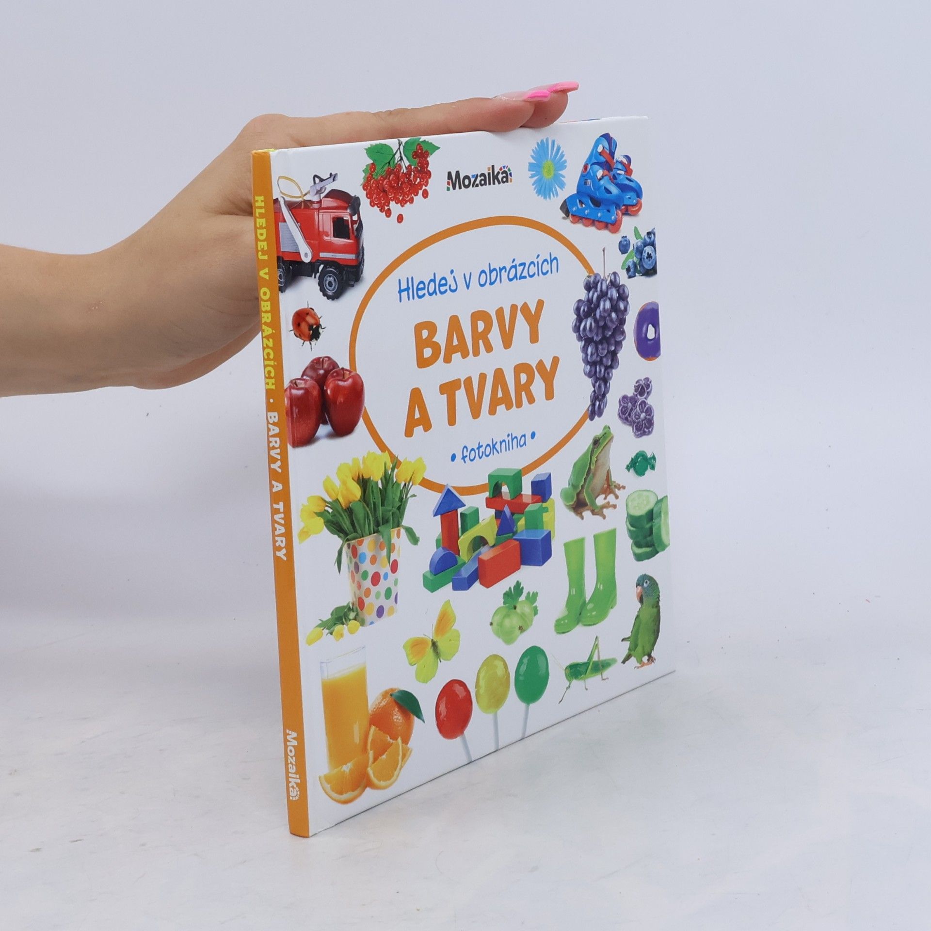 Collectif d'auteurs Barvy a tvary : fotokniha