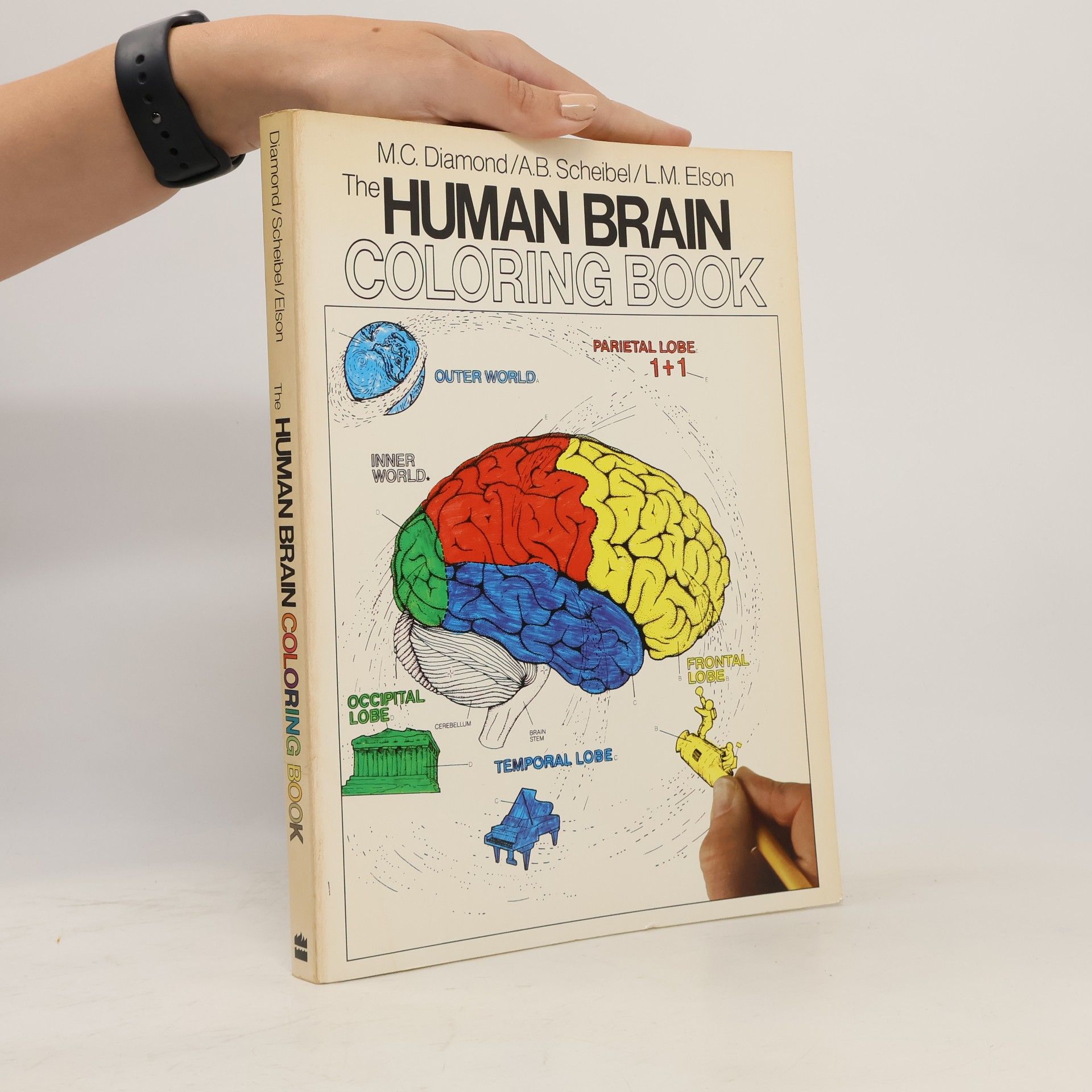 The Human Brain Coloring Book