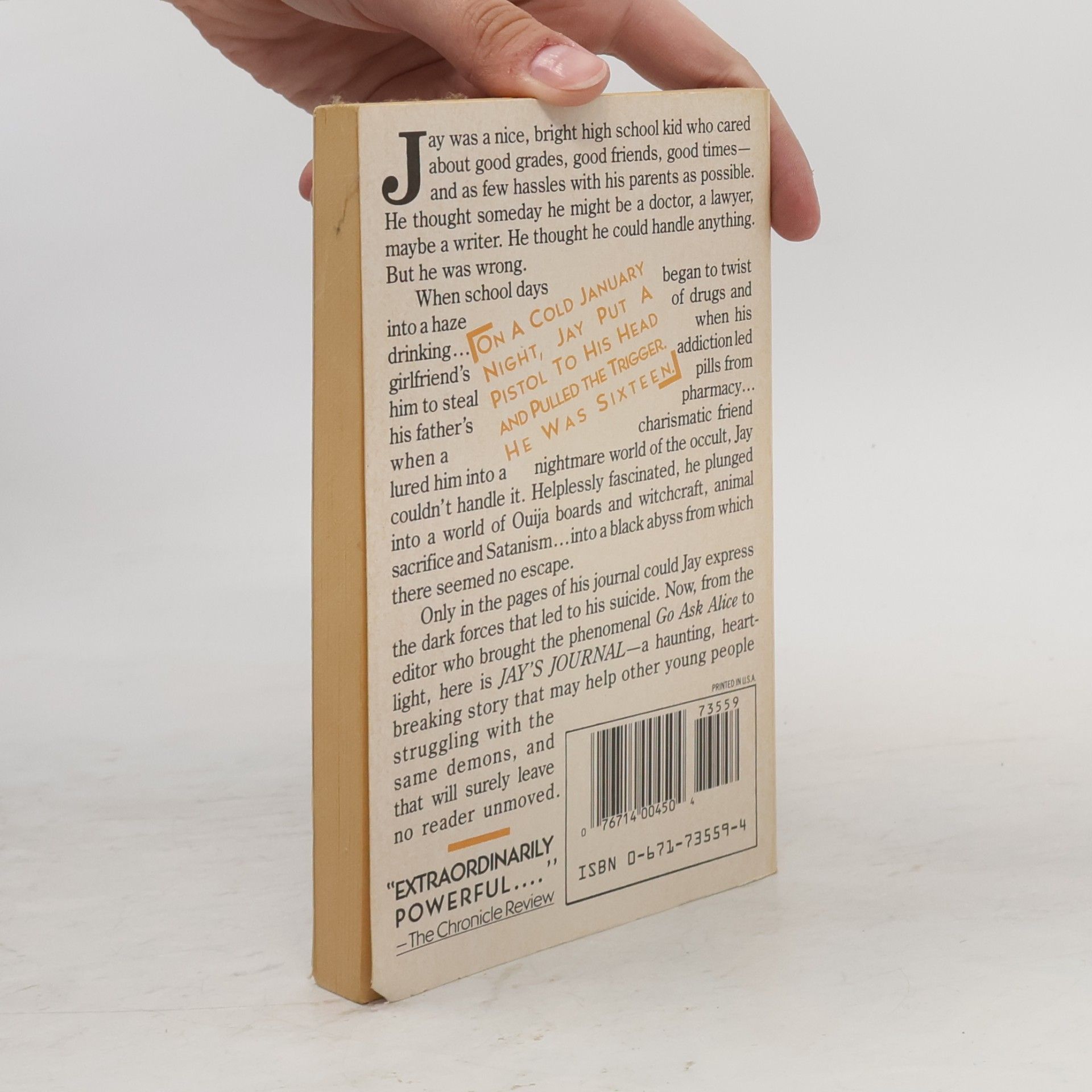 Dr. Beatrice Sparks Jay's Journal