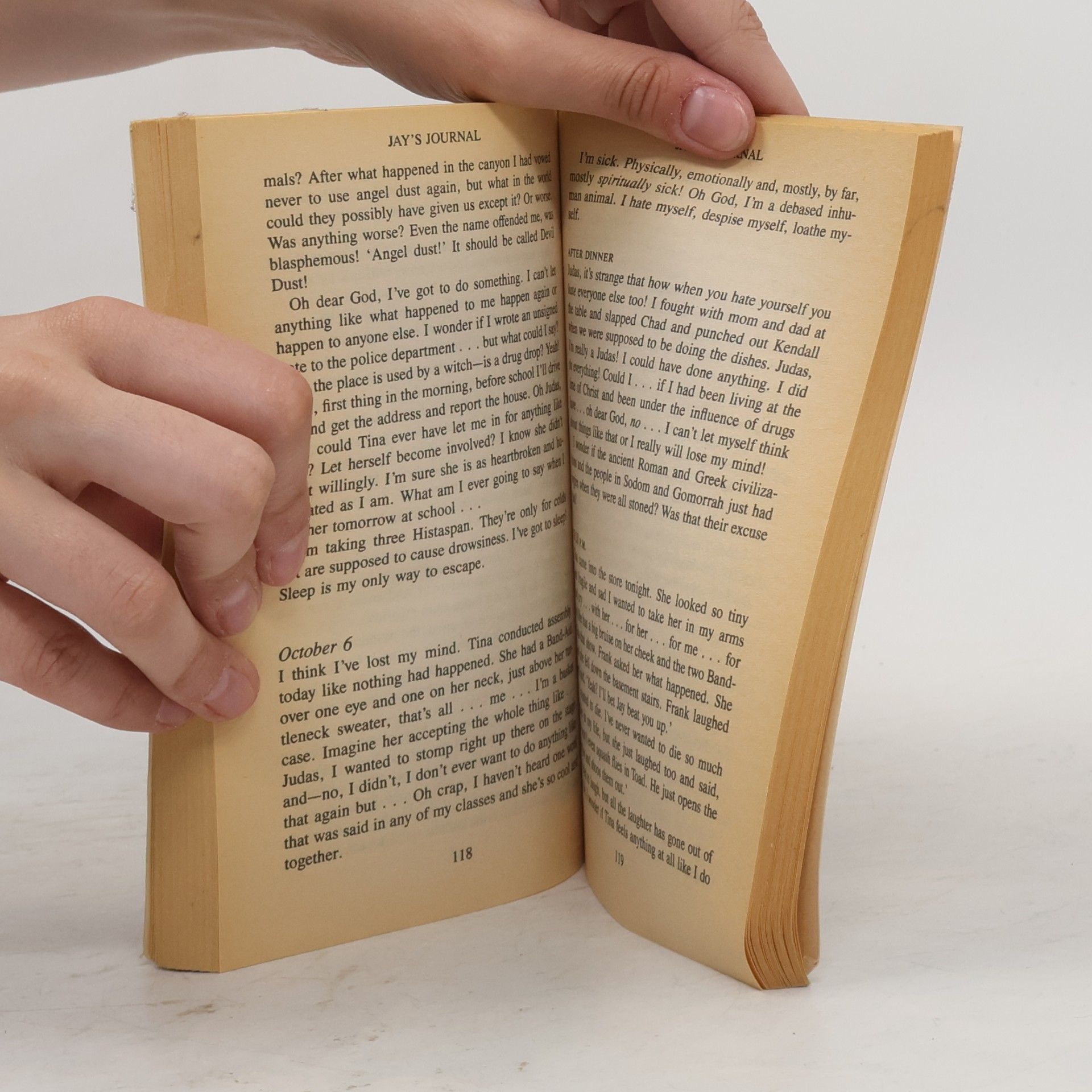 Dr. Beatrice Sparks Jay's Journal