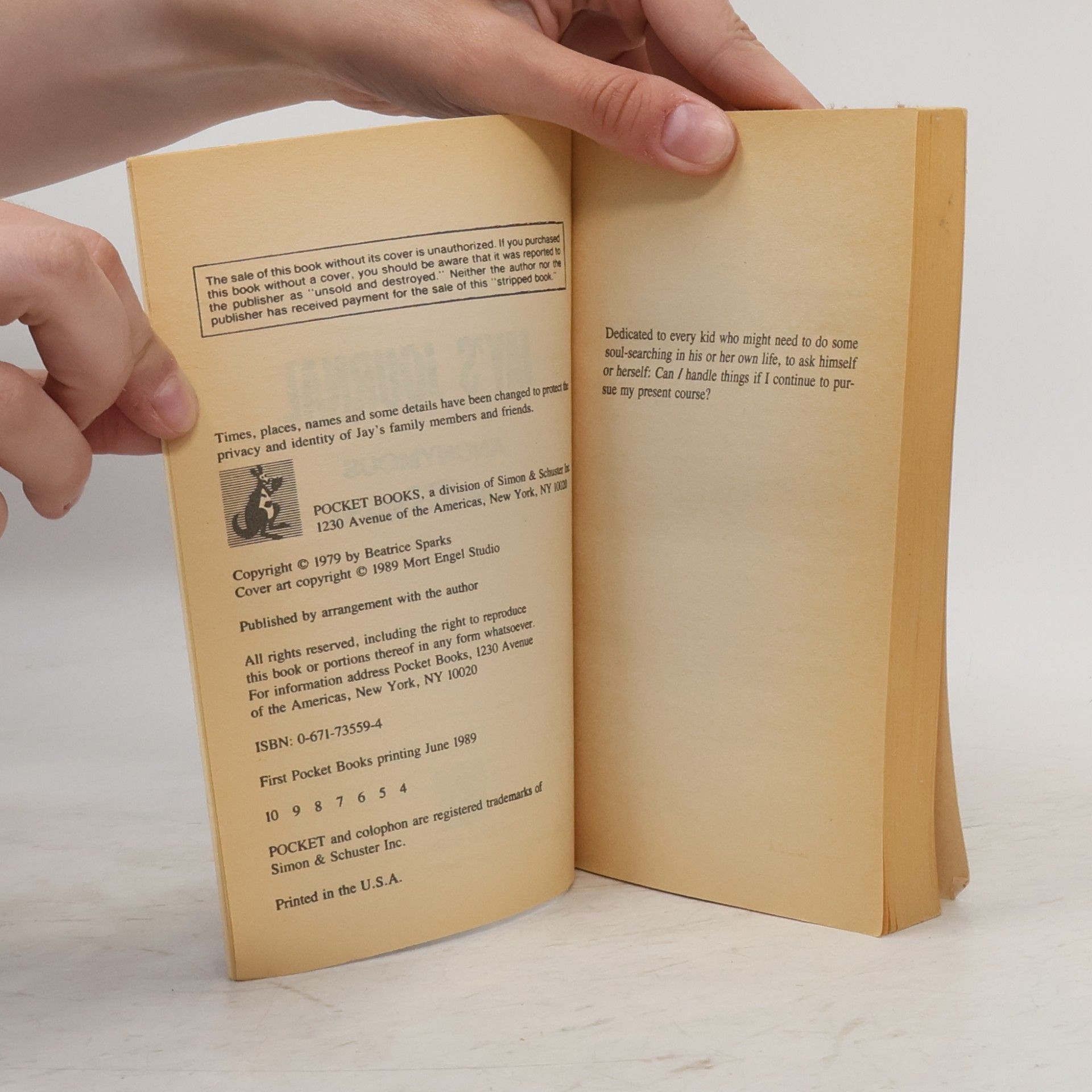 Dr. Beatrice Sparks Jay's Journal