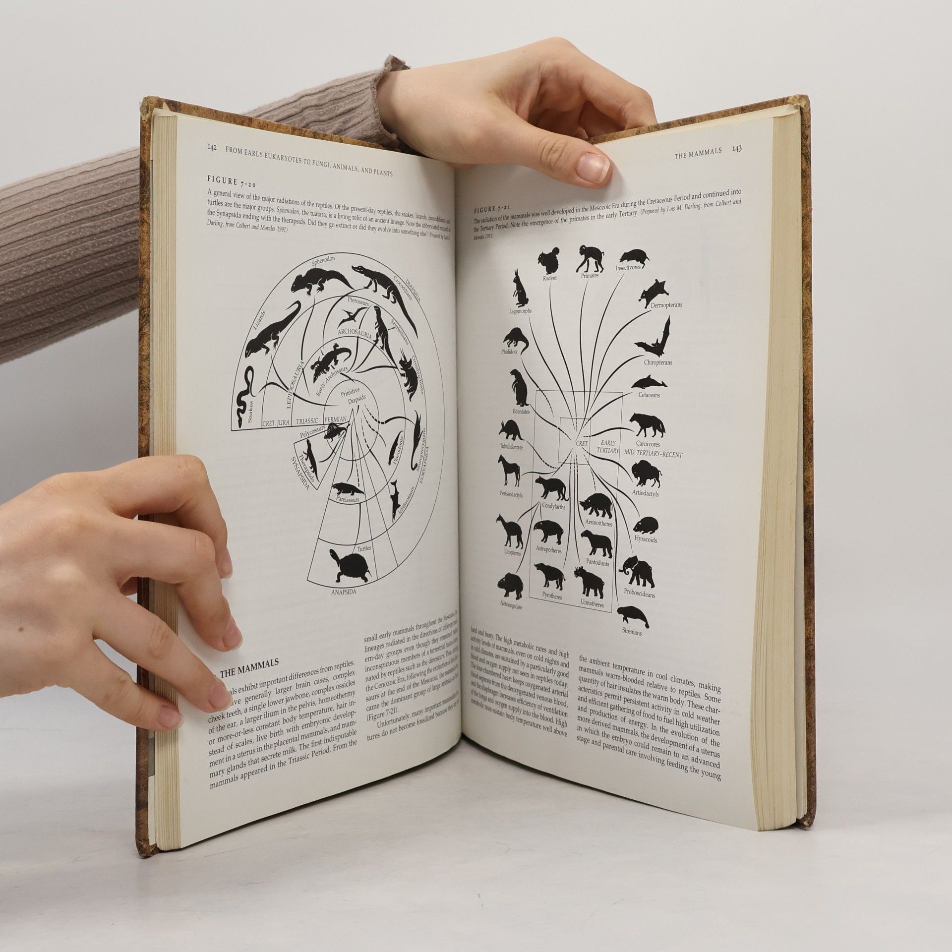 Peter W. Price Biological Evolution