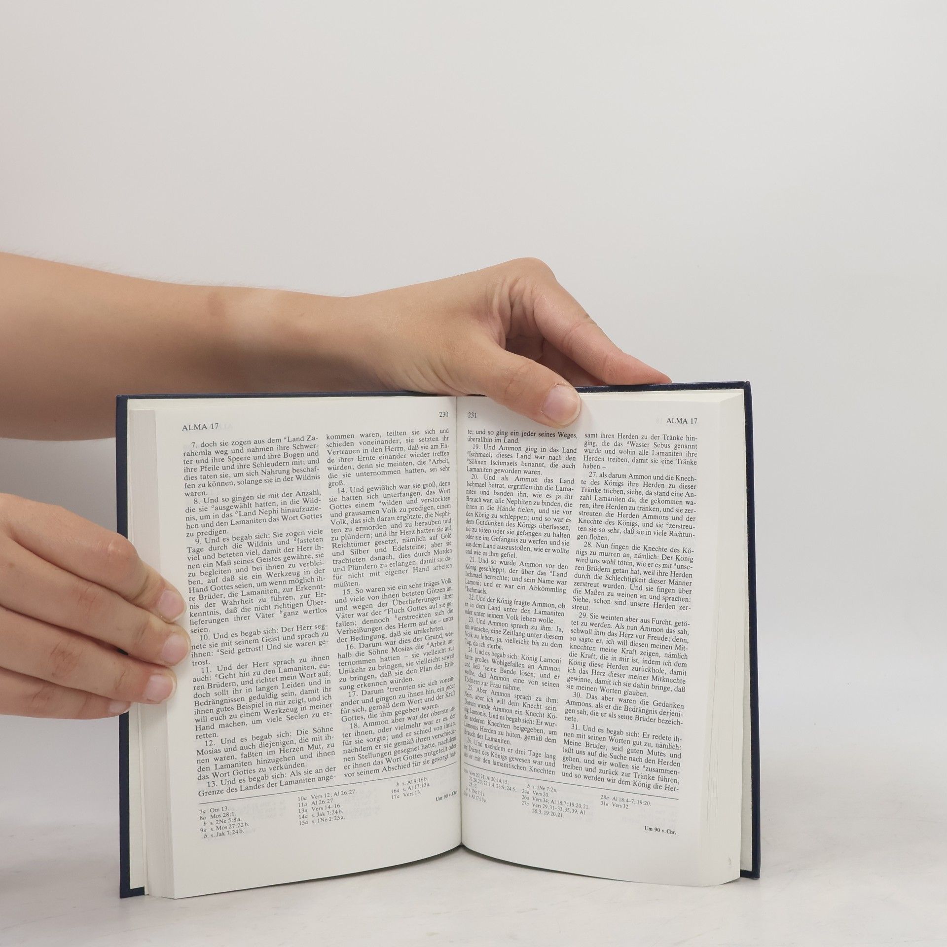 AA.VV. Das Buch Mormon