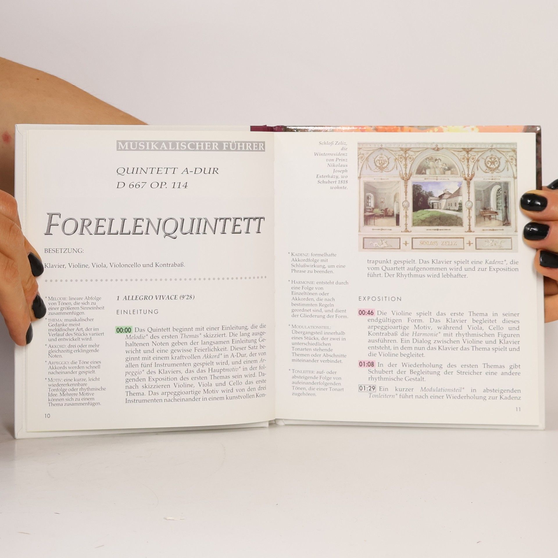 Autorenkollektiv La Gran Musica. Franz Peter Schubert