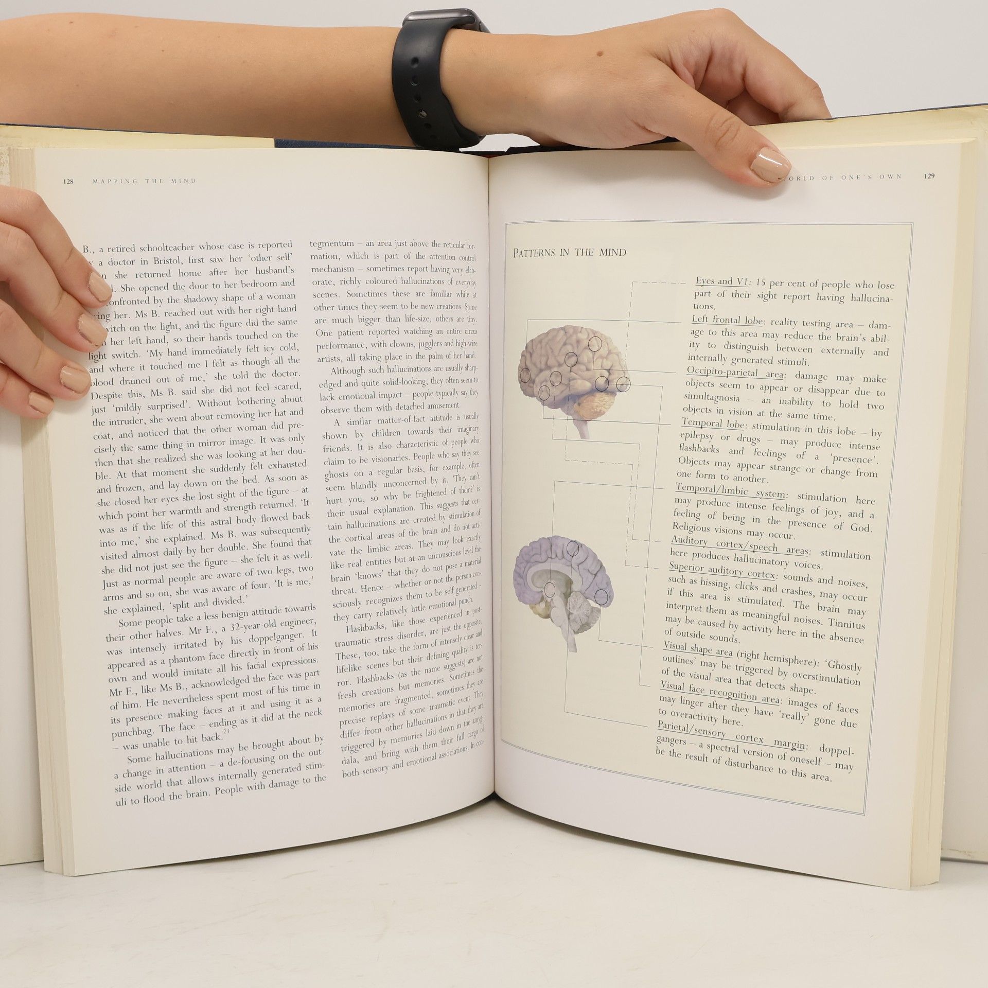Rita Carter Mapping the Mind
